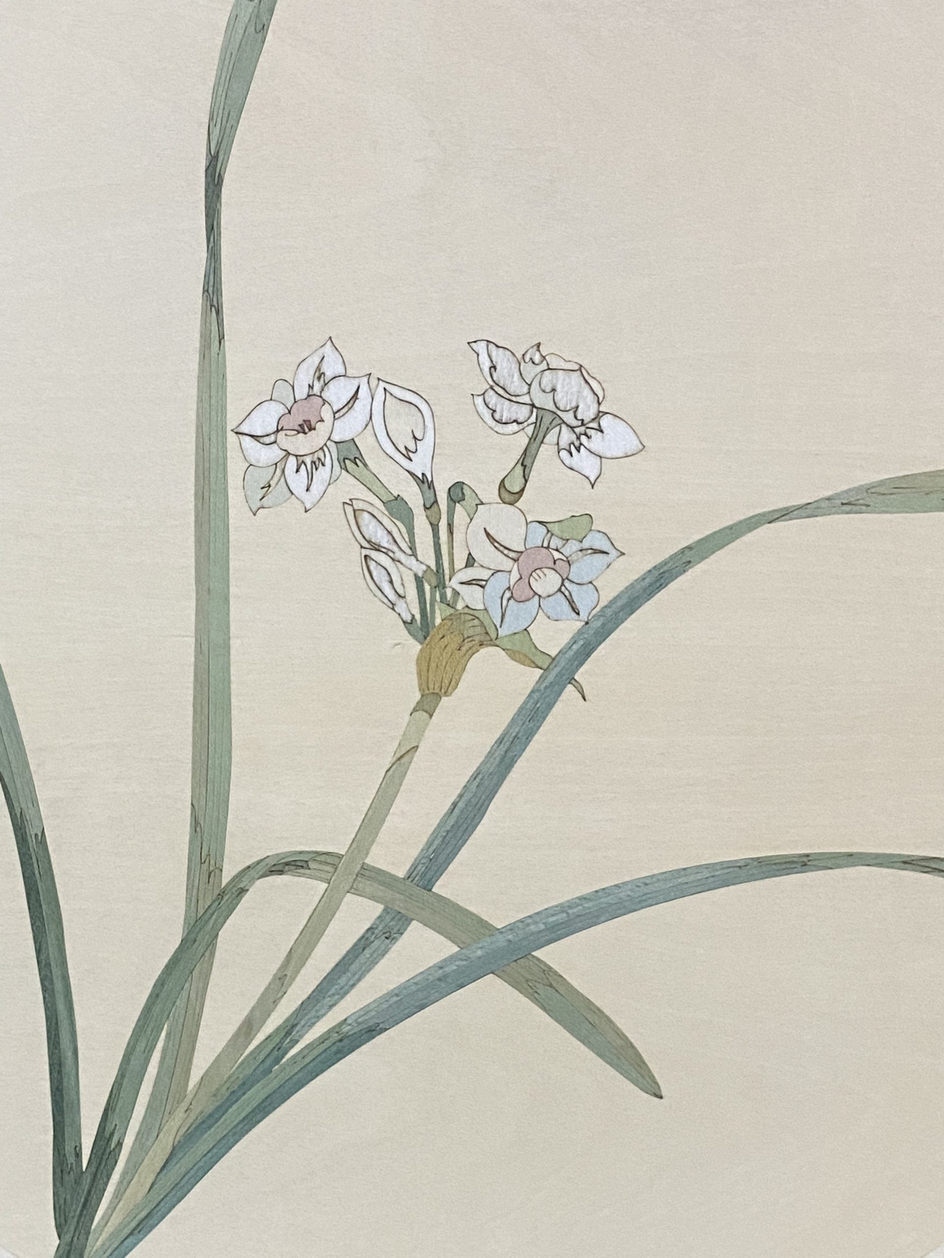 Orchid image 1