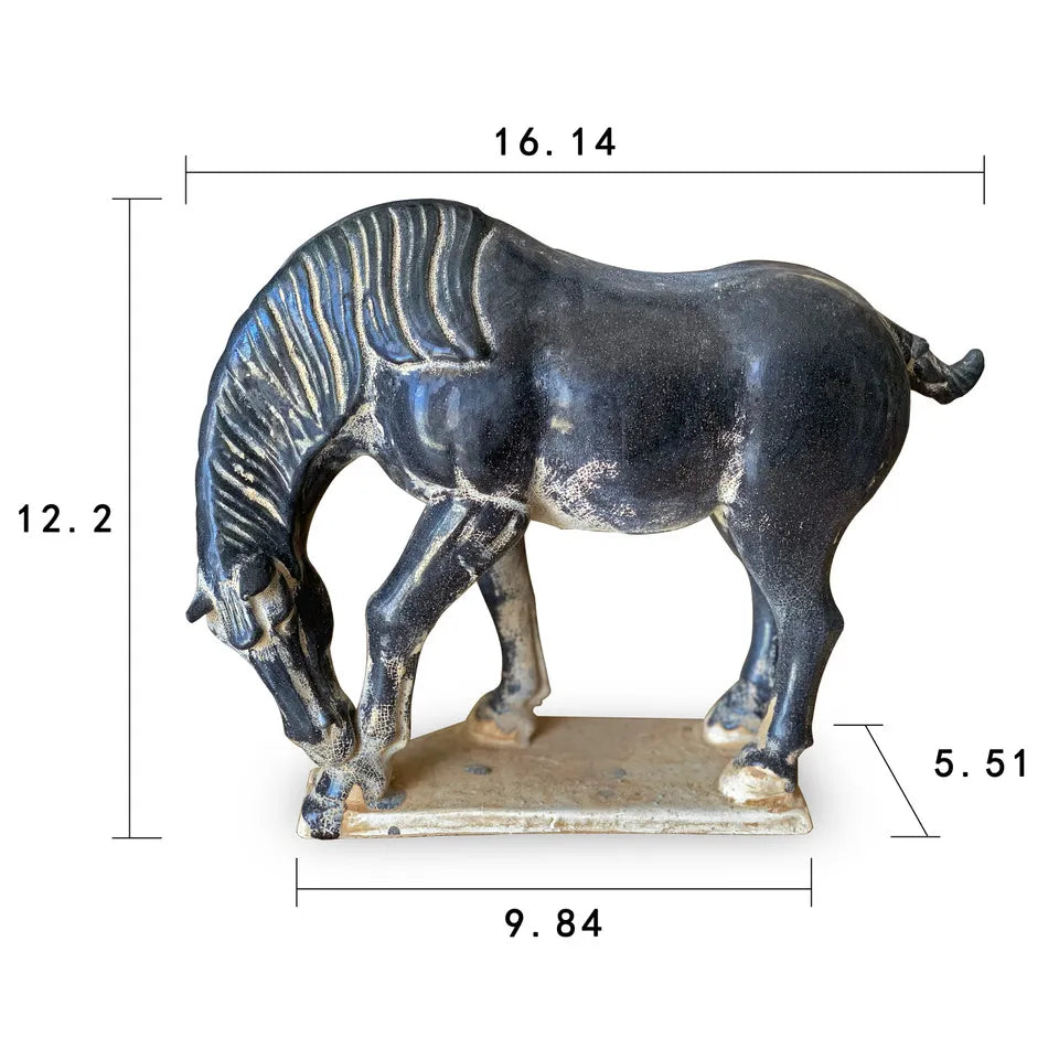 Black Horse Drinking Water image 0