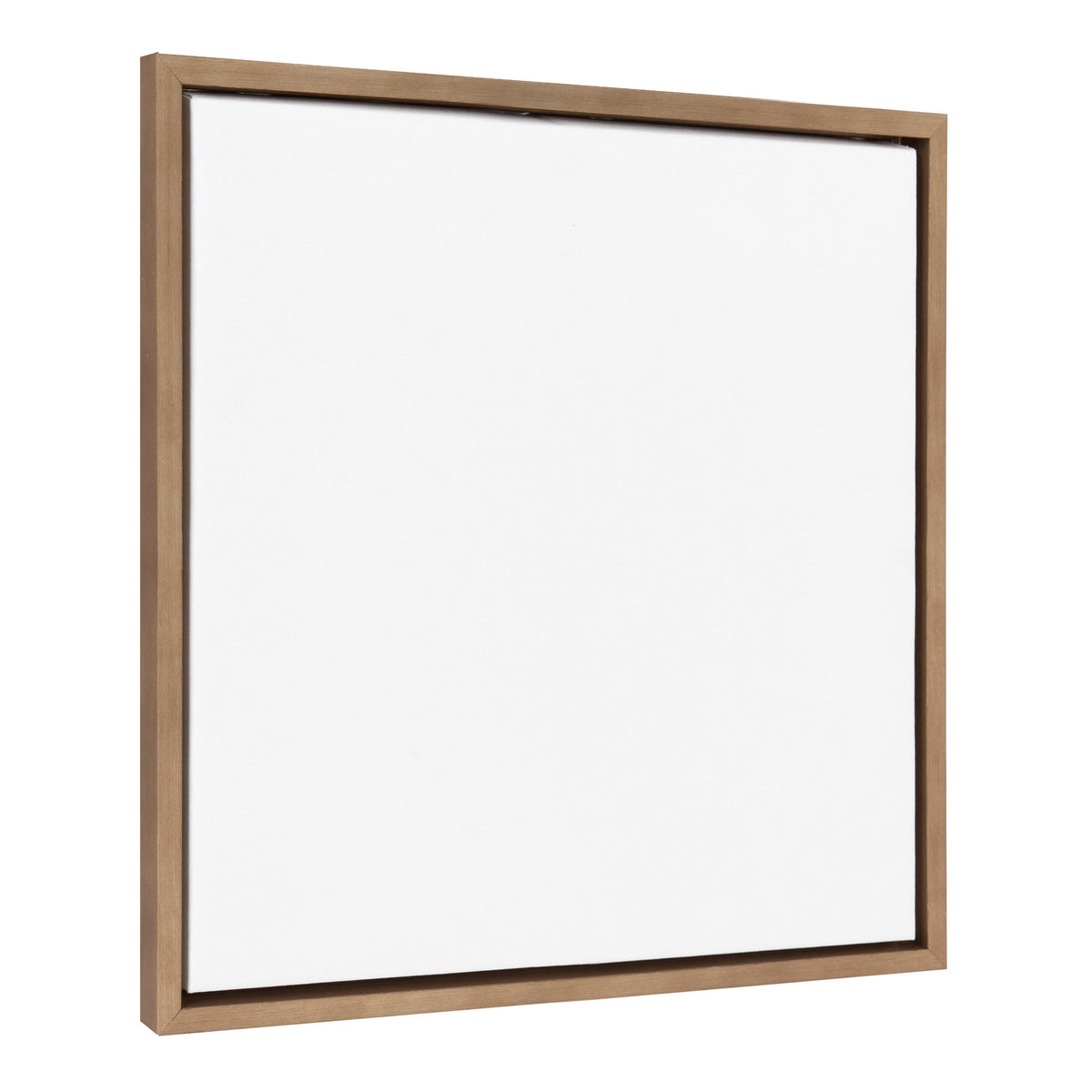 Sylvie Blank Framed Canvas 22x22