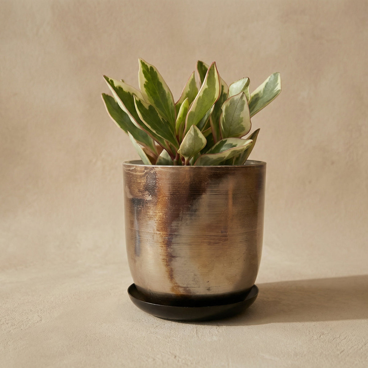 Jo Artisan Patina Brushed Metal Planter - Source by Studio Skara, view 2