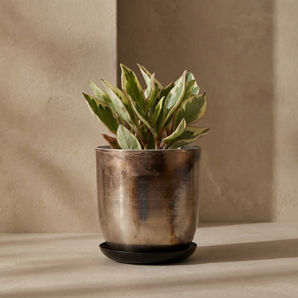 Jo Artisan Patina Brushed Metal Planter - Source by Studio Skara, view 3