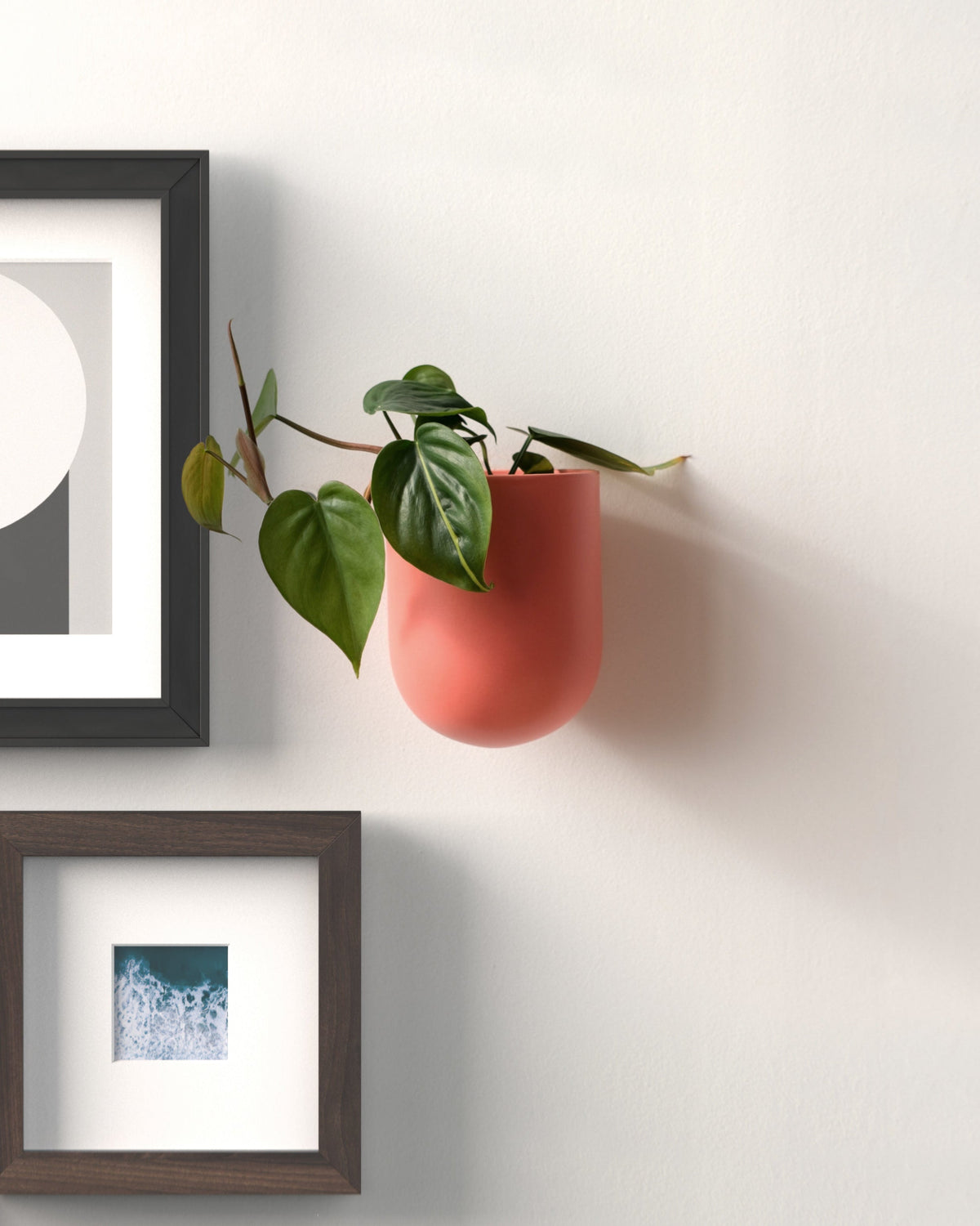 Bender Wall Planter - Misewell, view 6