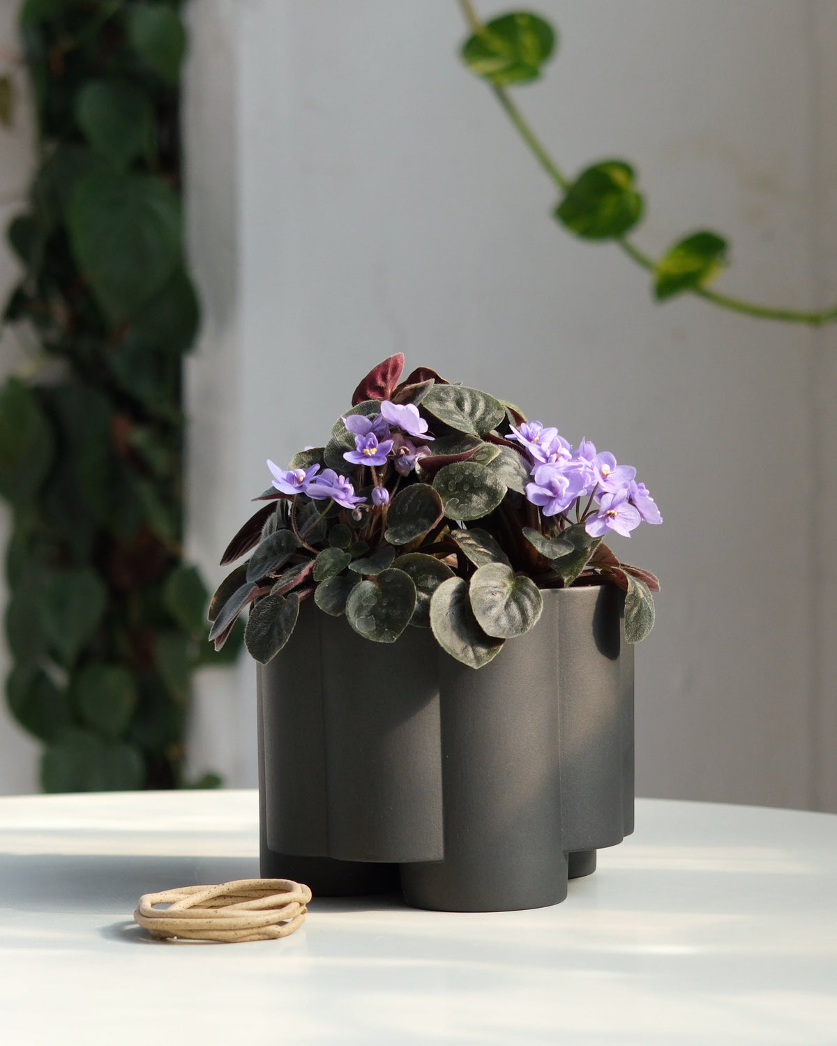 Pillar Planter - Misewell, view 9