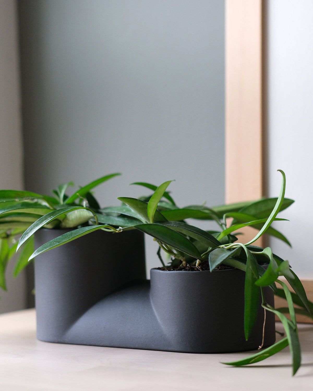 Double Planter - Misewell, view 5