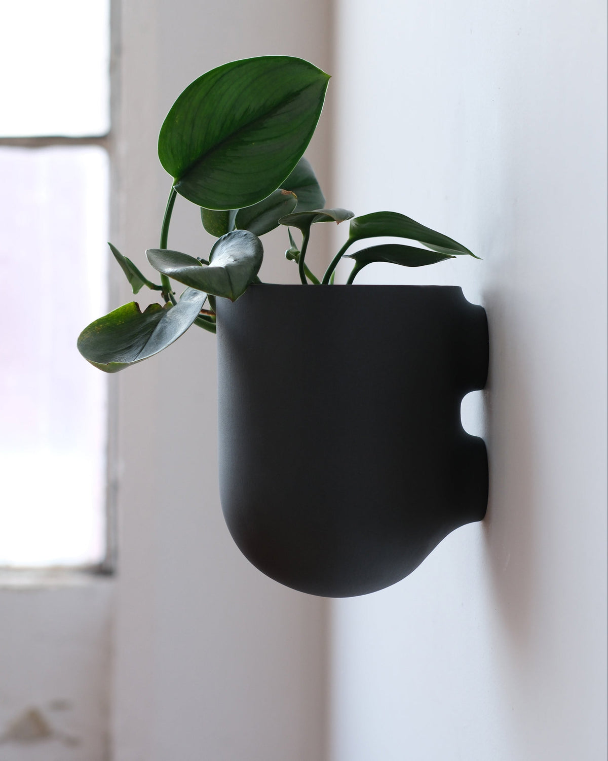 Bender Wall Planter - Misewell, view 3