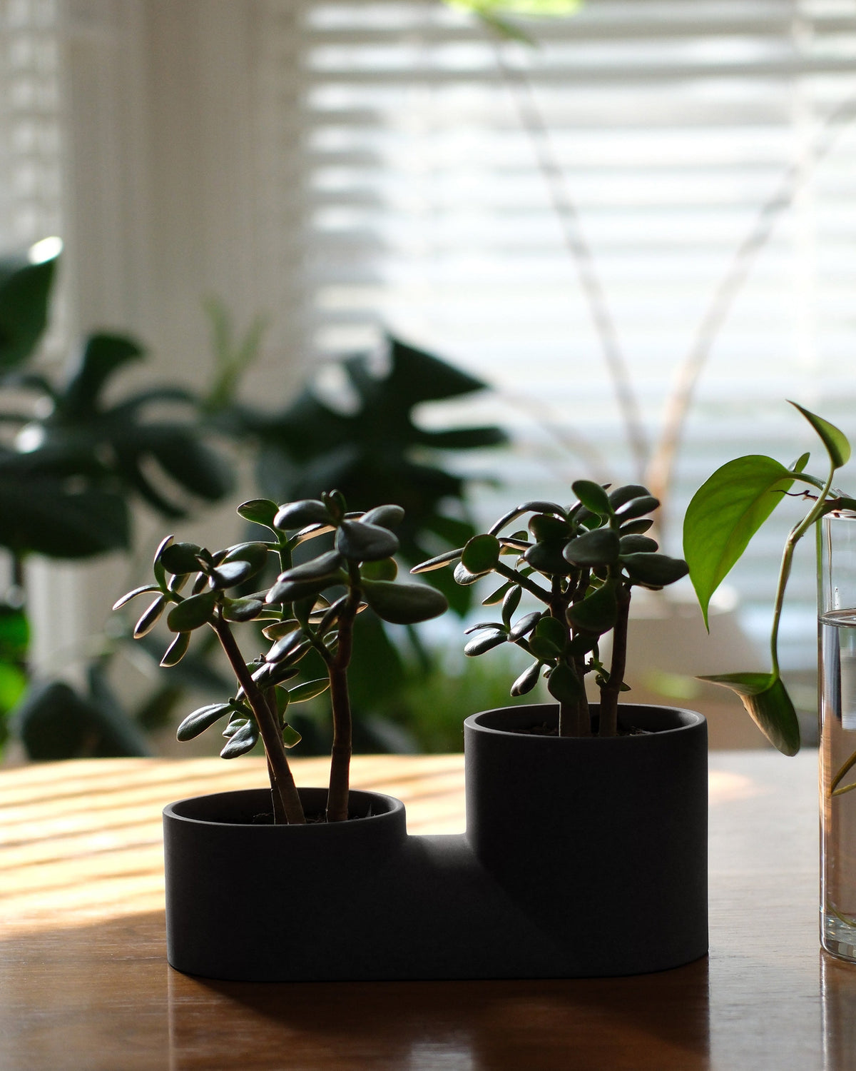Double Planter - Misewell, view 7
