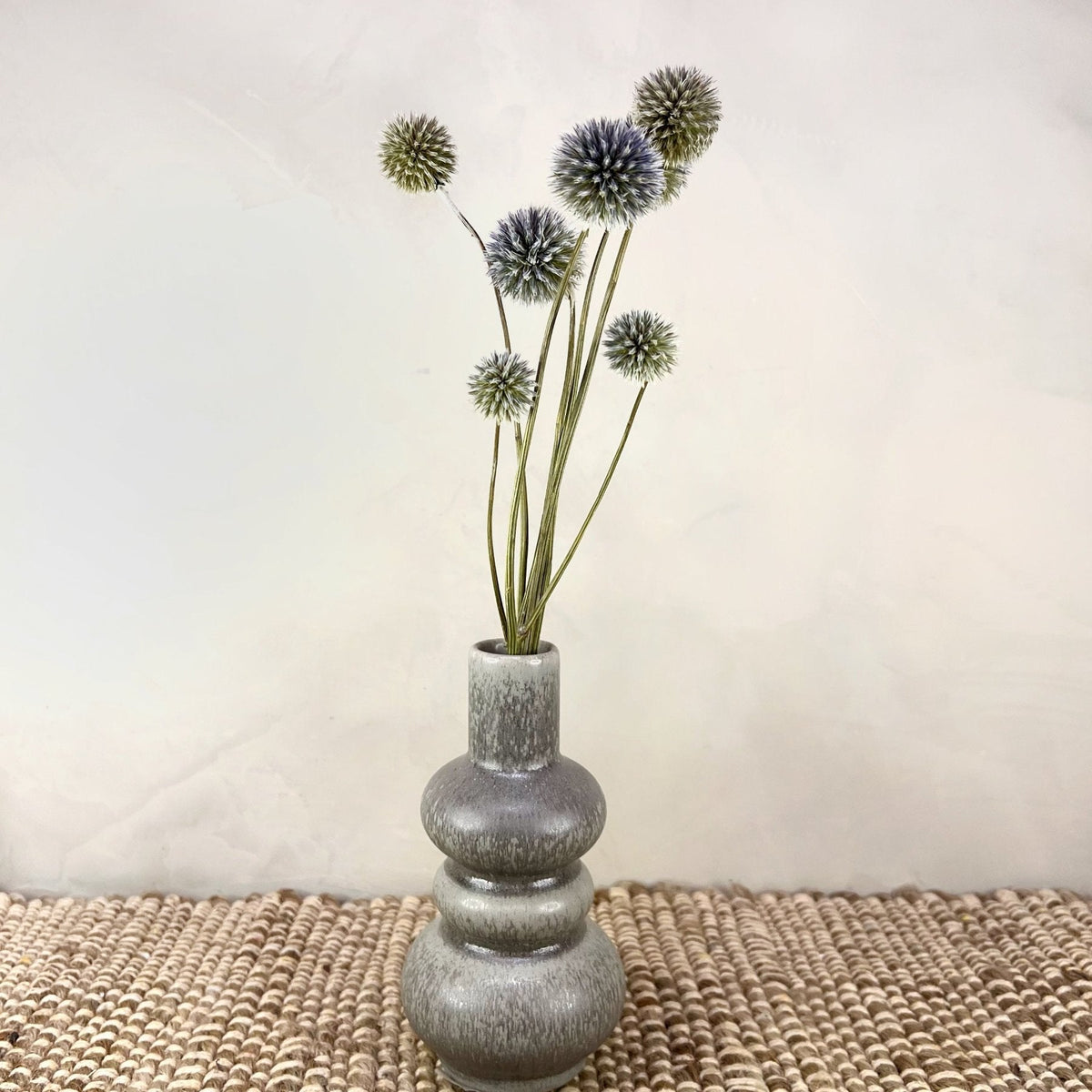 Dried Blue Globe Thistles - Source by Studio Skara, view 3