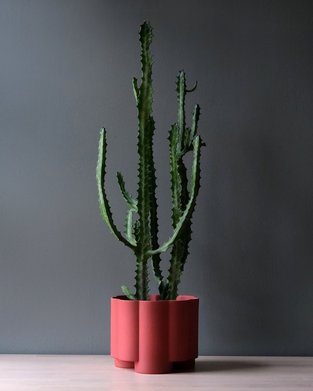 Pillar Planter - Misewell, view 7
