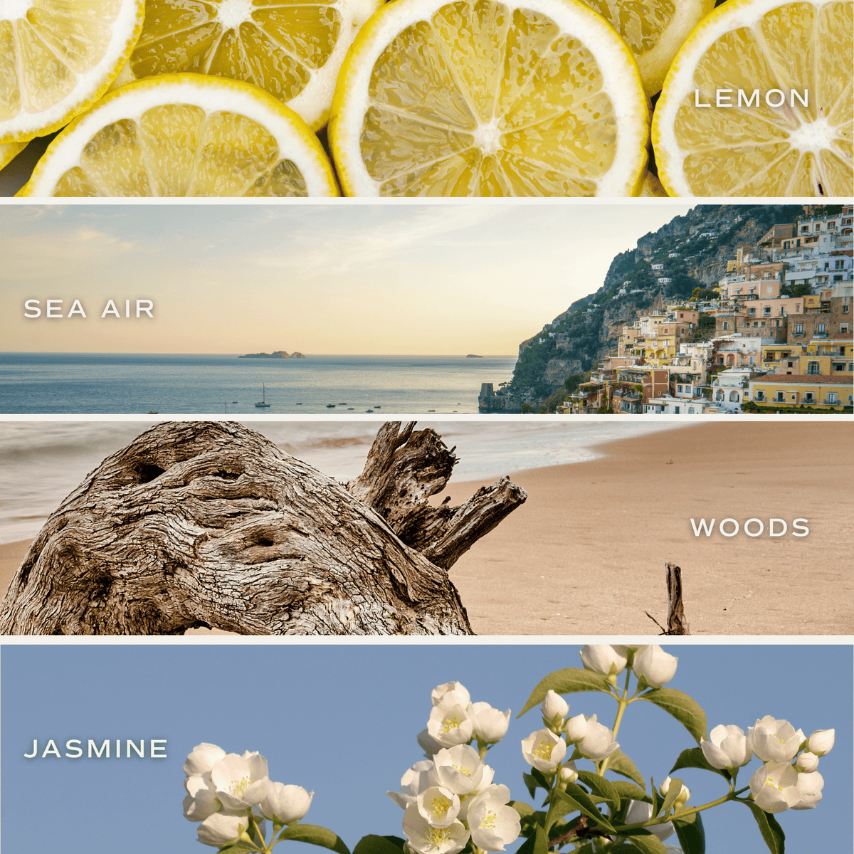 Coastal Lemon Soy Candle - Tinted Glass Jar - 12 oz - Sweet Water Decor, view 5
