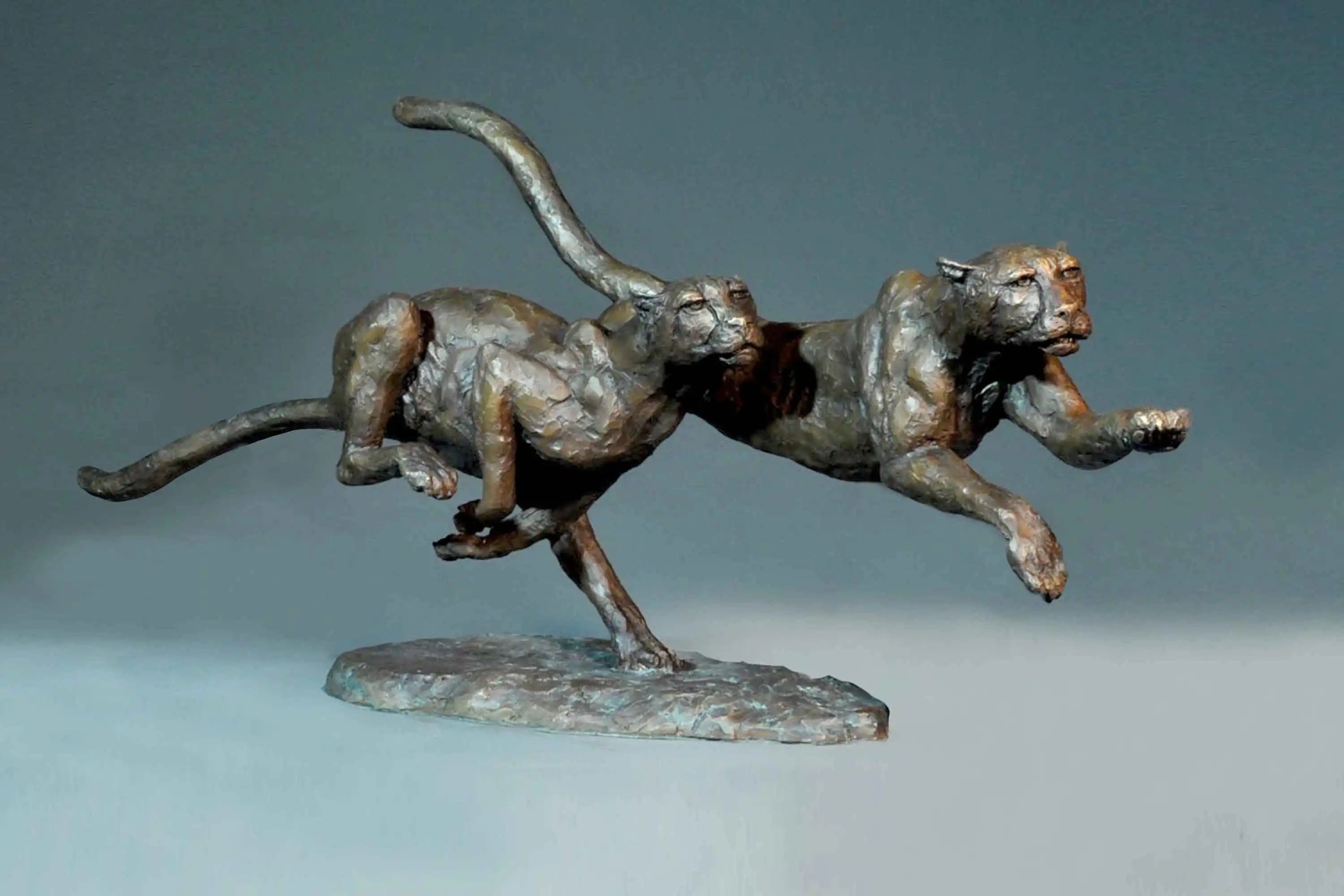 Cheetahs, Hunting Pair