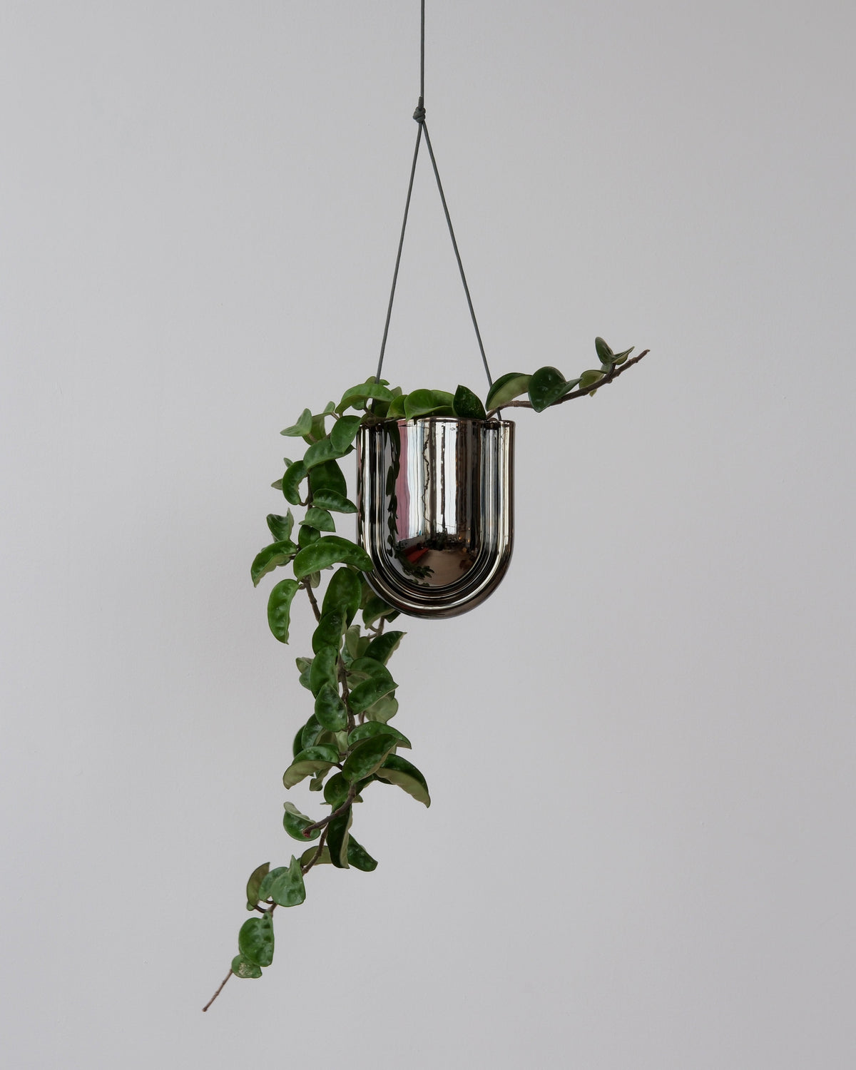 Portico Planter - Chrome - Misewell, view 3
