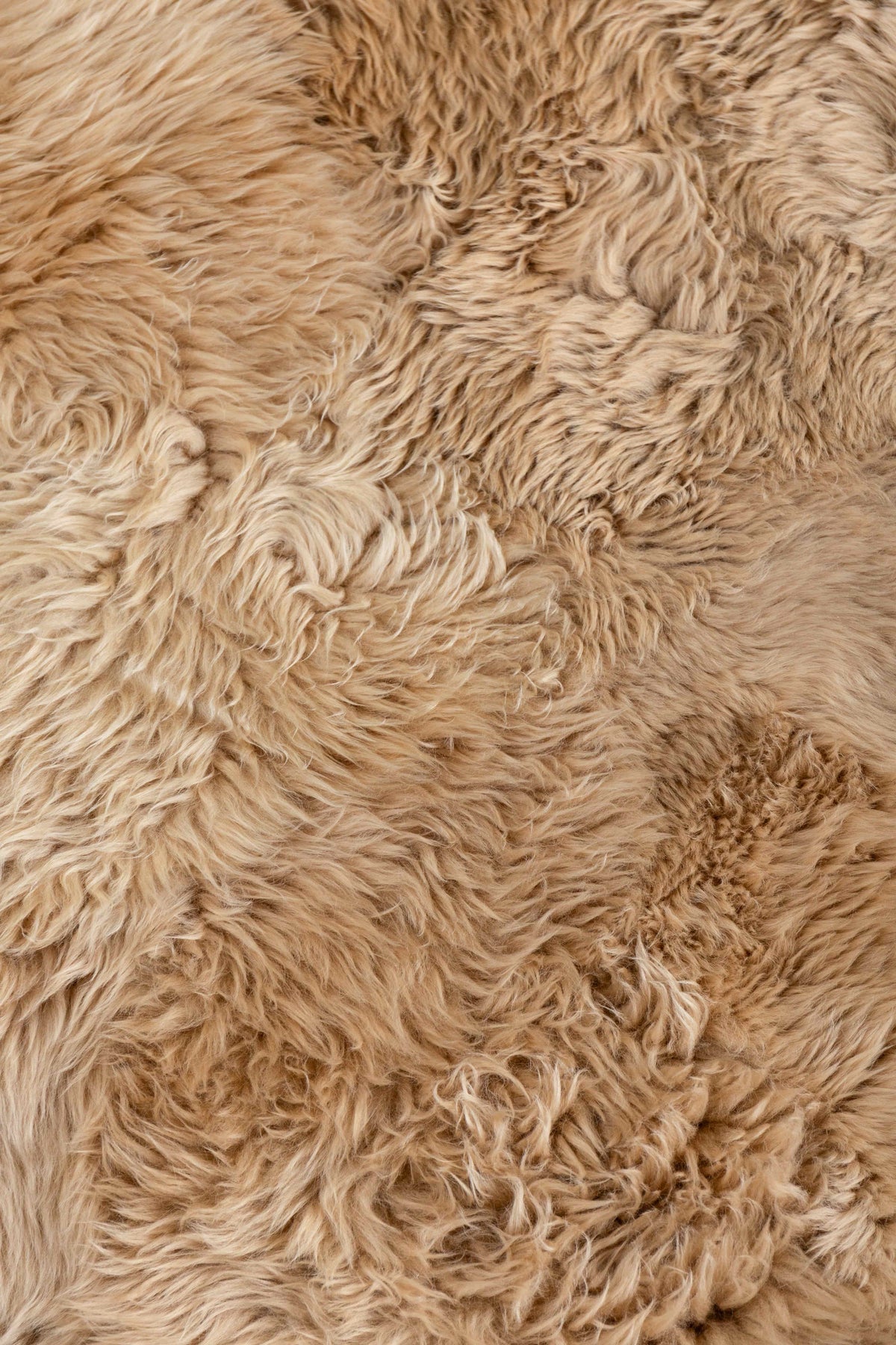 LONG HAIR - Beige Camel Sheepskin Rug - Homelosophy, view 3