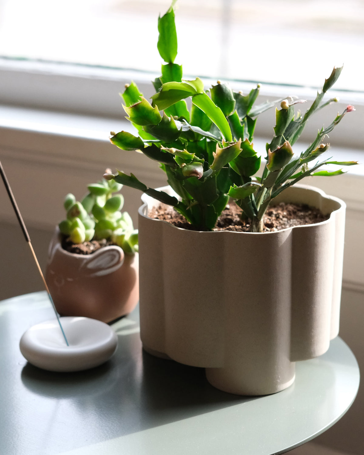 Pillar Planter - Misewell, view 8