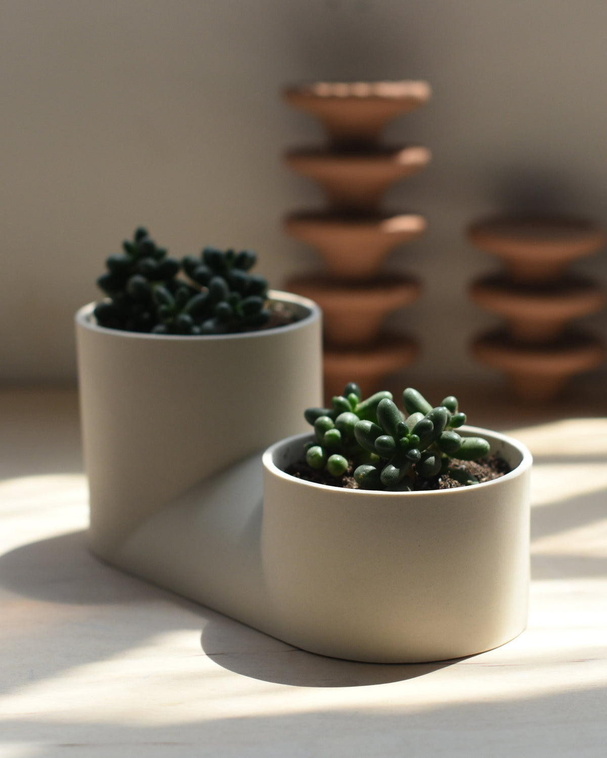 Double Planter - Misewell, view 9