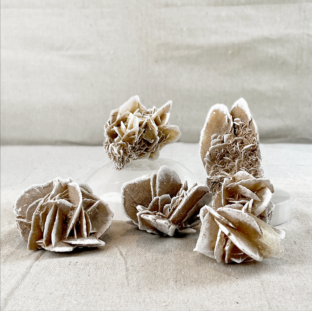 Desert Rose Selenite Cluster - Small - Source by Studio Skara, view 2