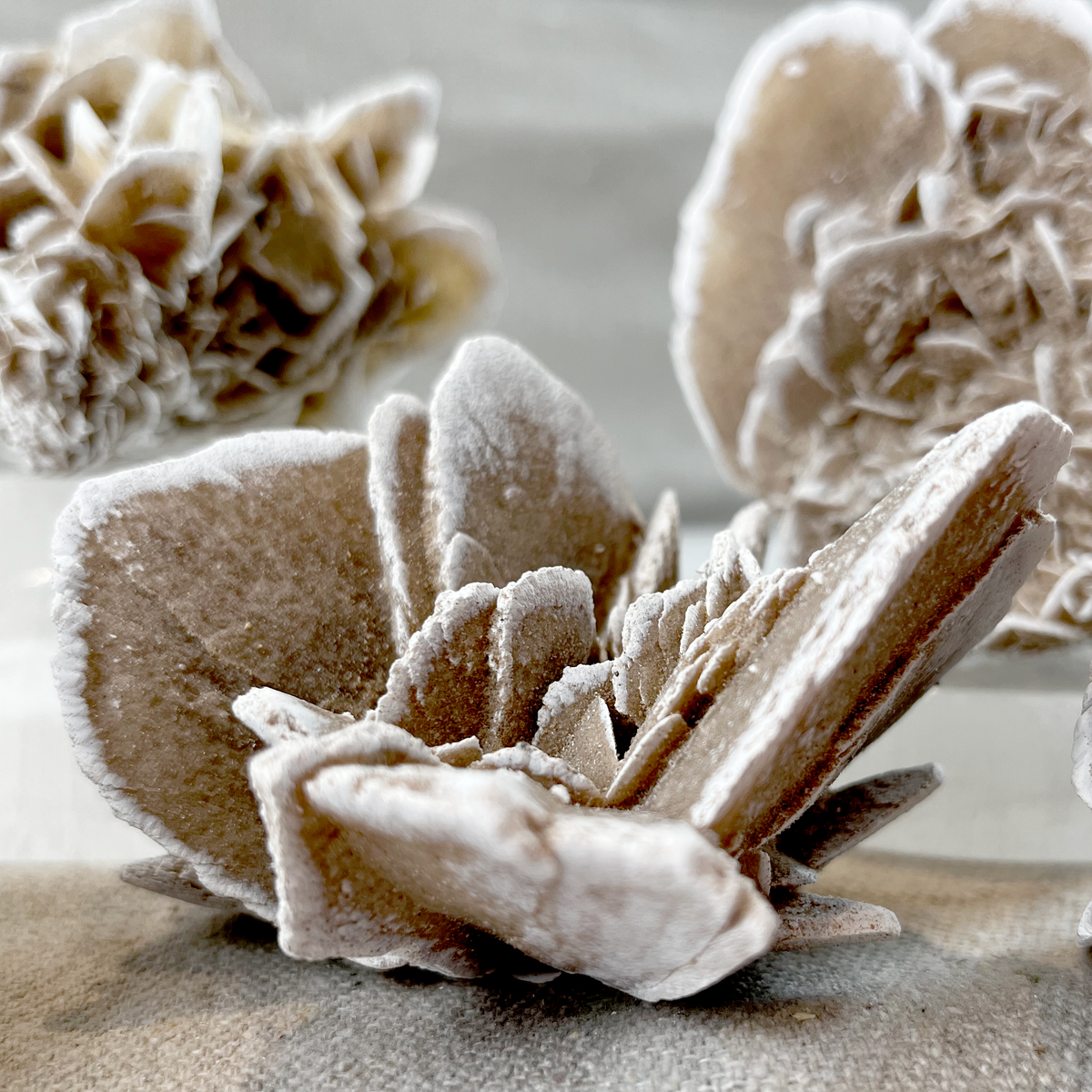 Desert Rose Selenite Cluster - Small - Source by Studio Skara, view 3