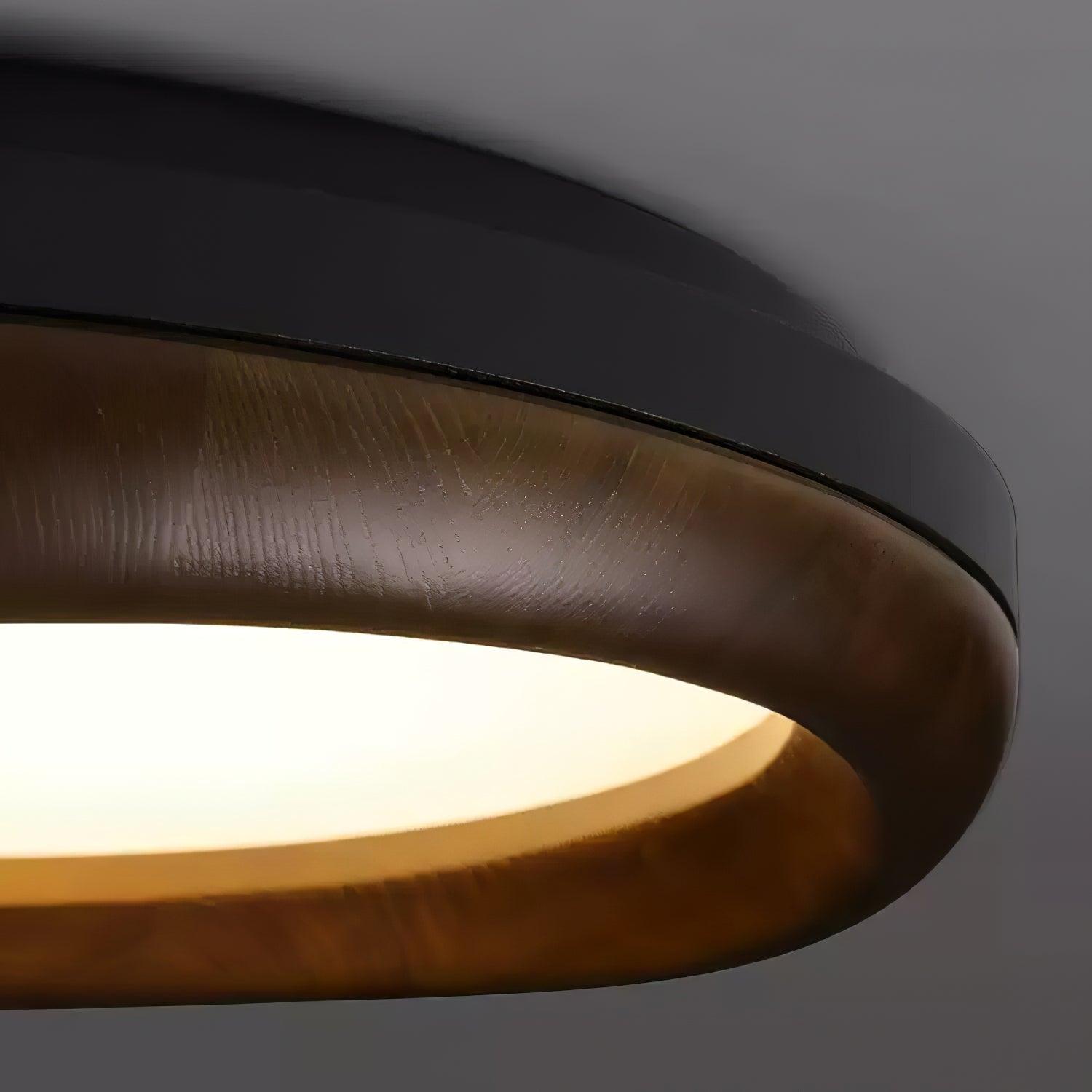 Dome Ceiling Light