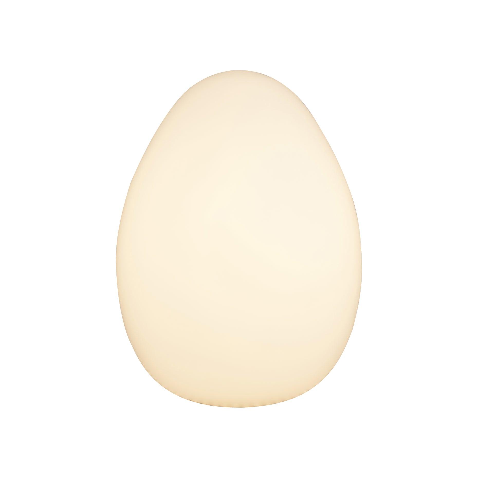 Egg Table Lamp