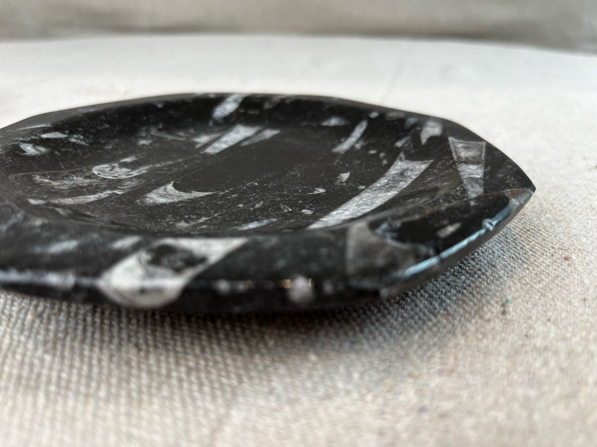 Fossil Stone Dish - Source by Studio Skara, view 10