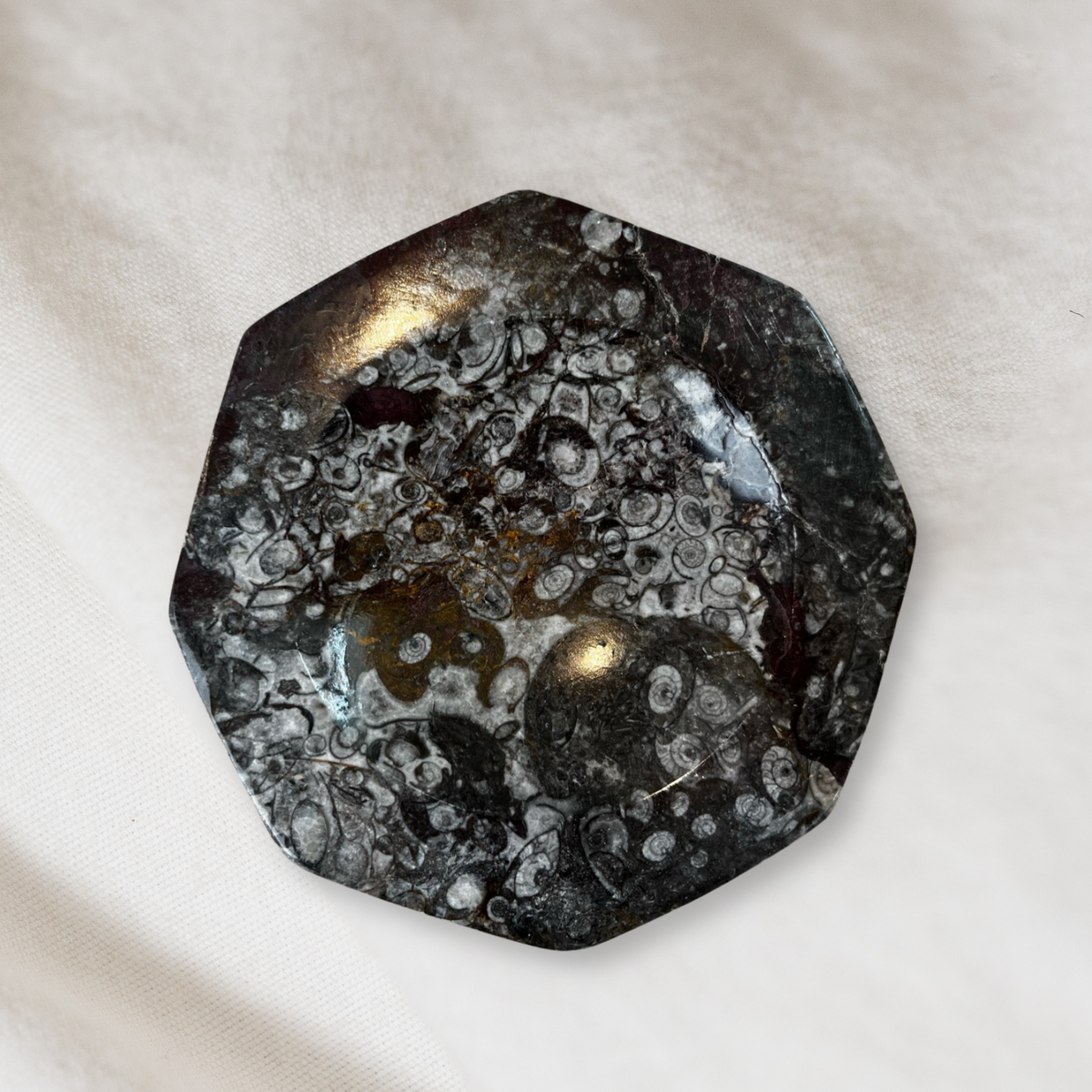 Fossil Stone Dish - Source by Studio Skara, view 3