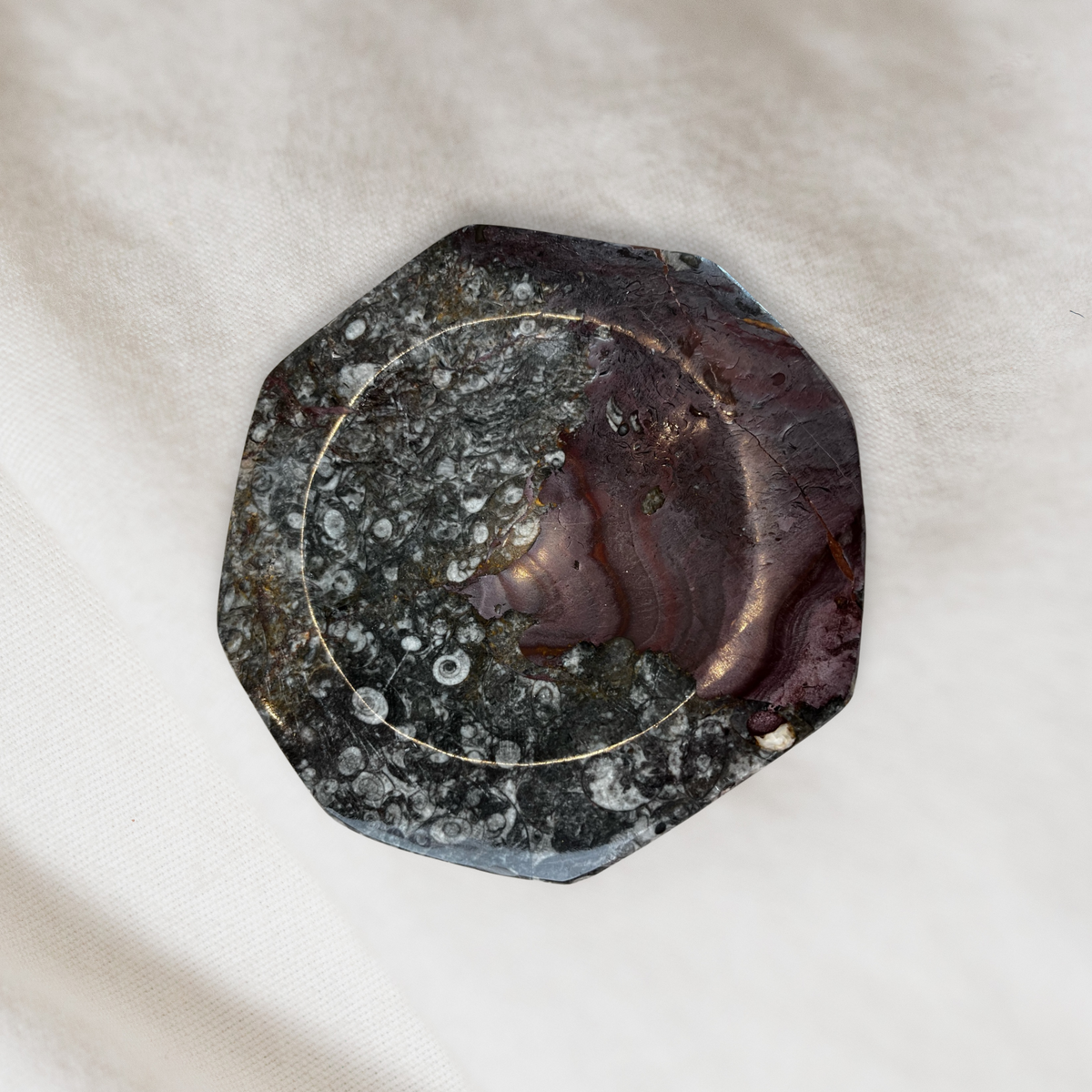 Fossil Stone Dish - Source by Studio Skara, view 4