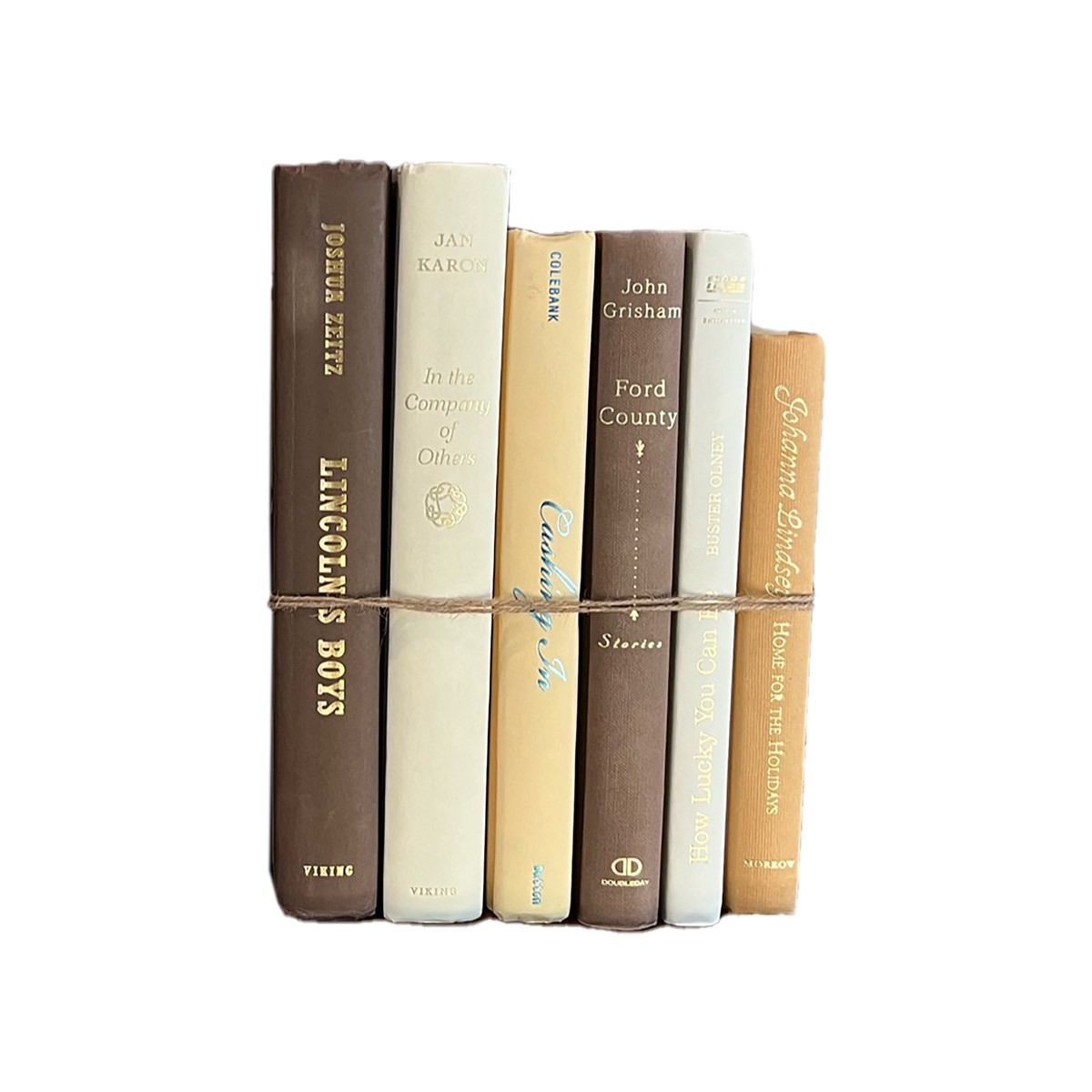 Modern Book Bundle by Color - Source by Studio Skara, view 3