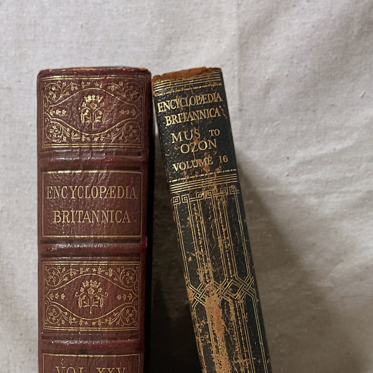 Vintage Books Large - Source by Studio Skara, view 2
