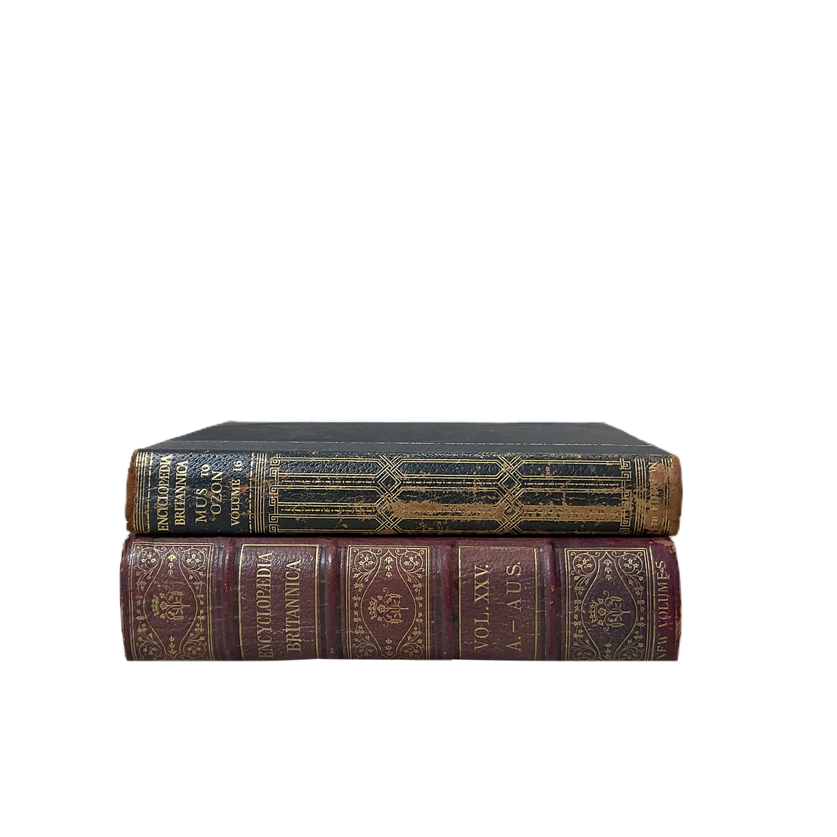 Vintage Books Large - Source by Studio Skara