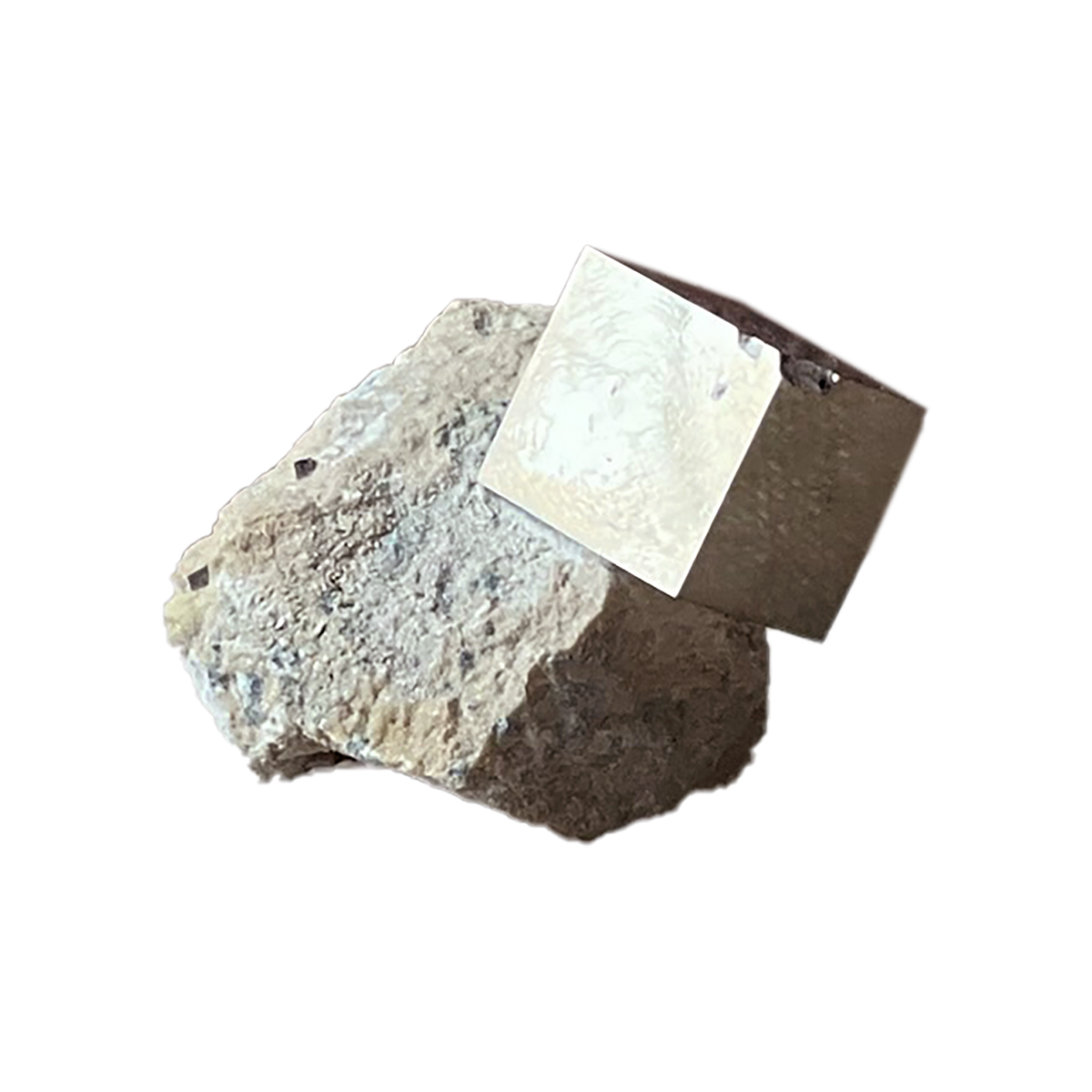 Small Pyrite on Matrix - Source by Studio Skara