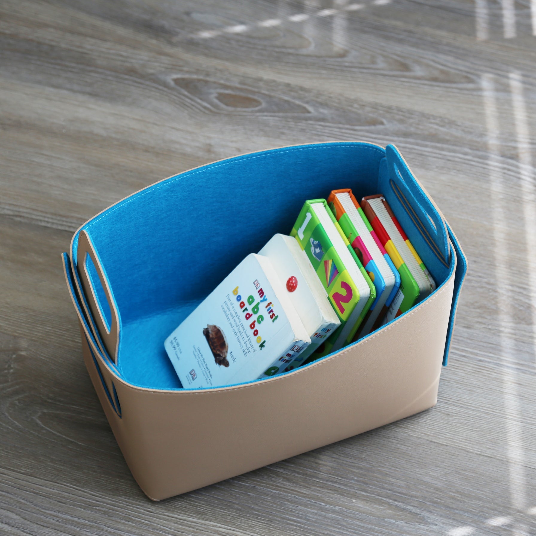Set of 2 Aqua Tan Foldable Storage Basket
