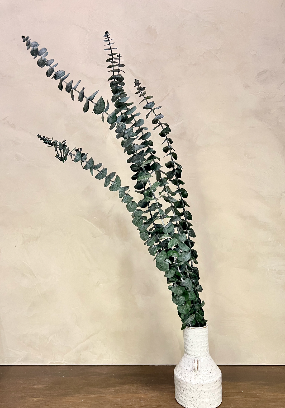 Preserved Baby Blue Spiral Eucalyptus - Source by Studio Skara, view 3