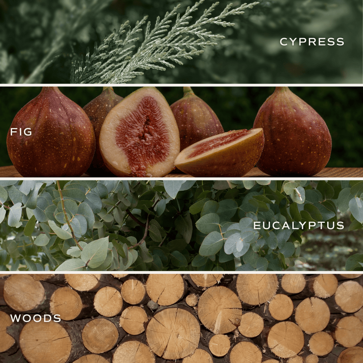 Let It Snow Soy Candle -  9 oz Amber Jar - Sweet Water Decor, view 3