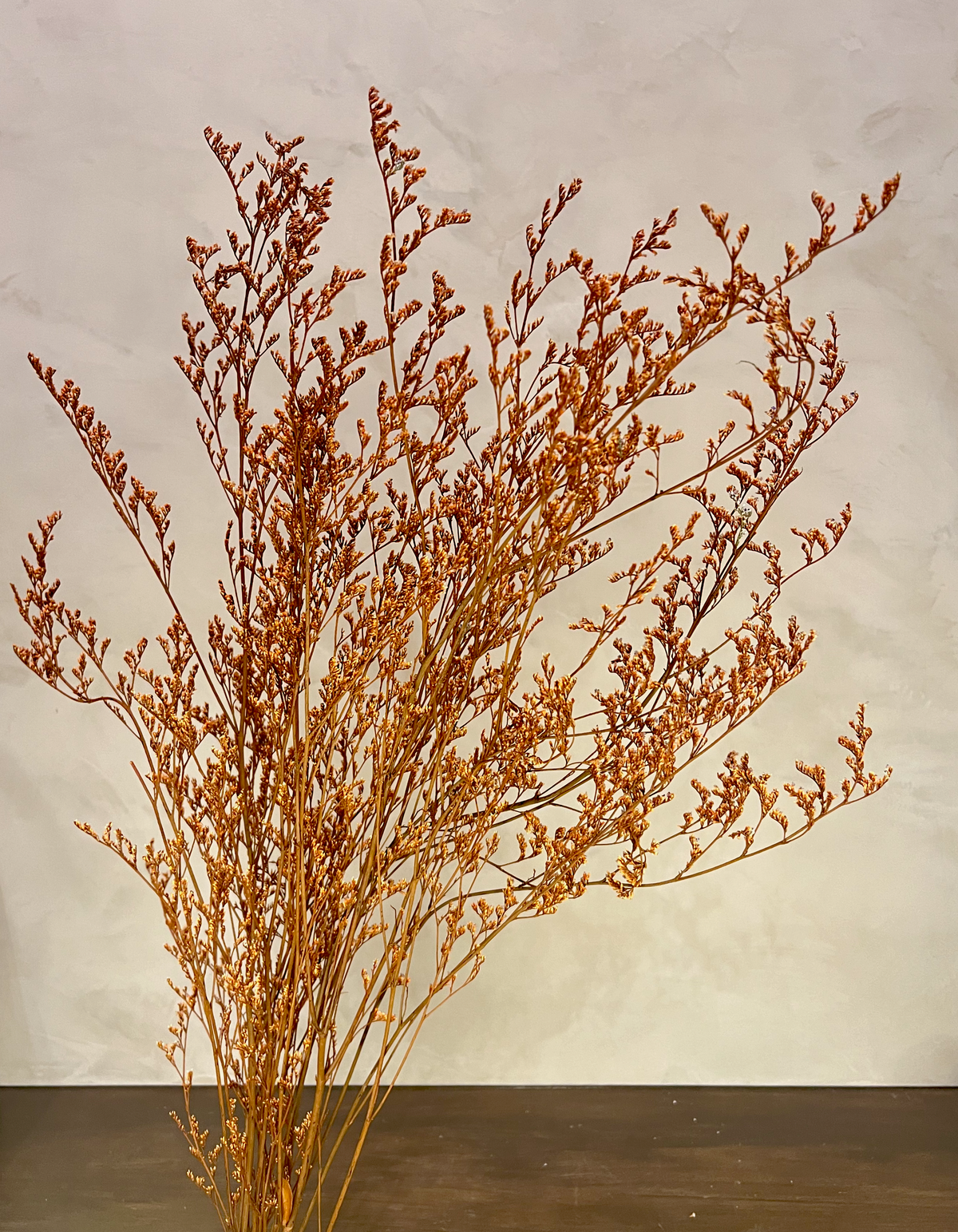 Preserved Limonium Caspia Flowers - Terracotta Orange - Source by Studio Skara, view 3