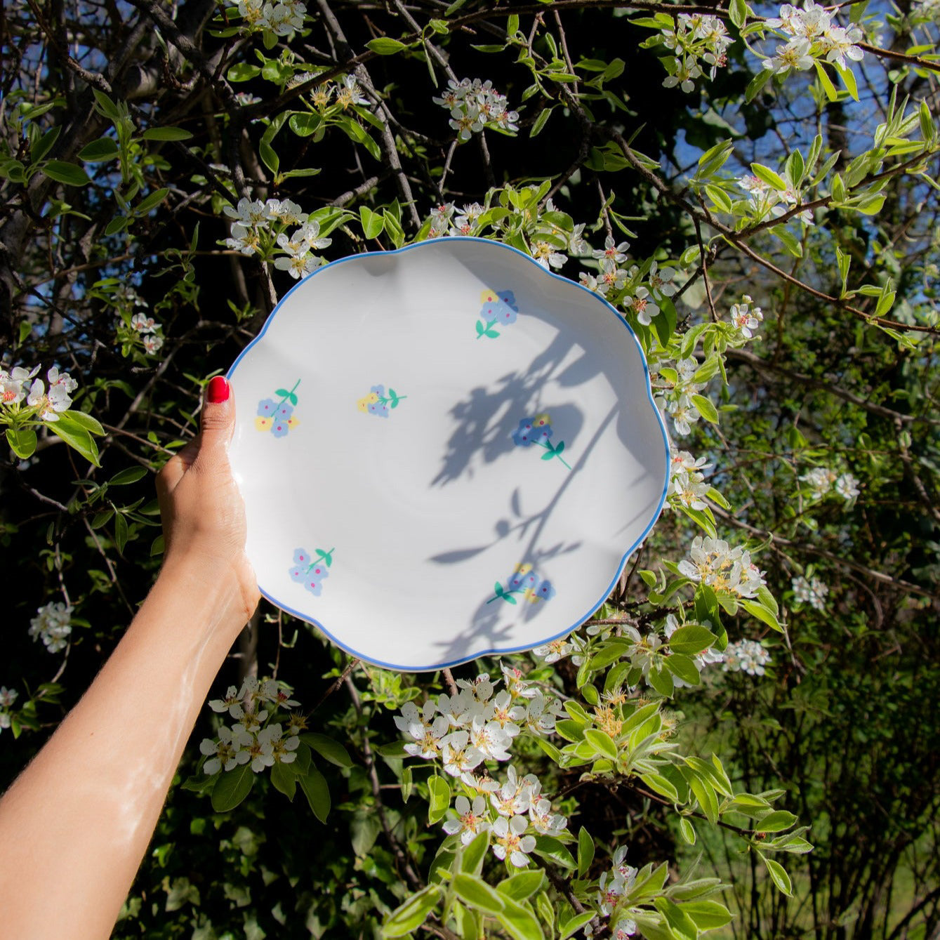 Meadow Flora Dinner Plate - Case of 12 Plates (+3 Bonus Plates)