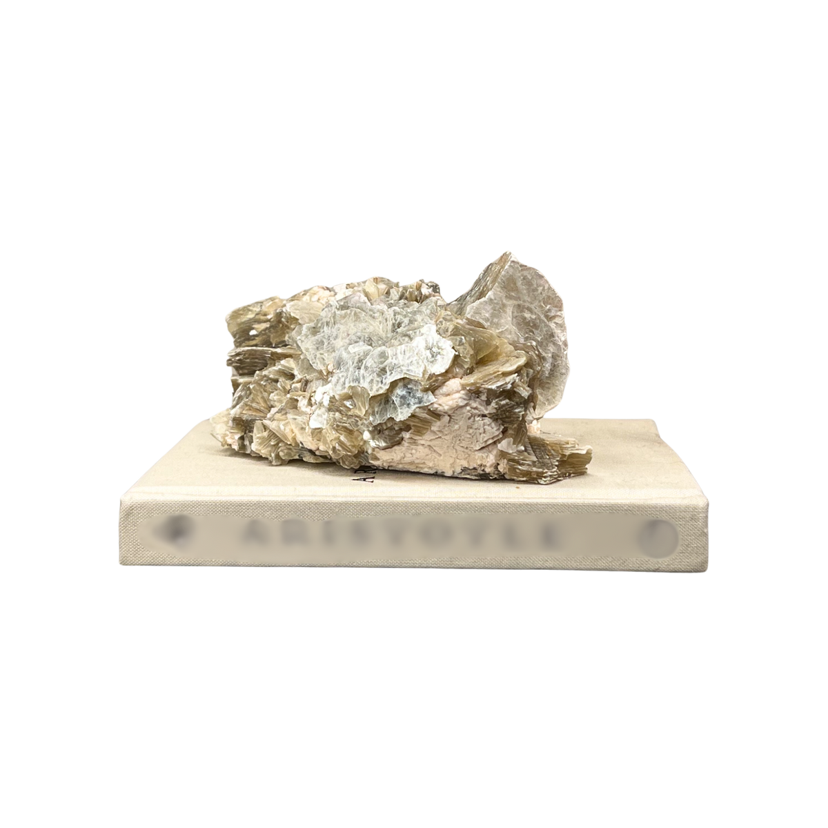 Brazilian Mica, Clevelandite & Black Tourmaline Cluster - Source by Studio Skara