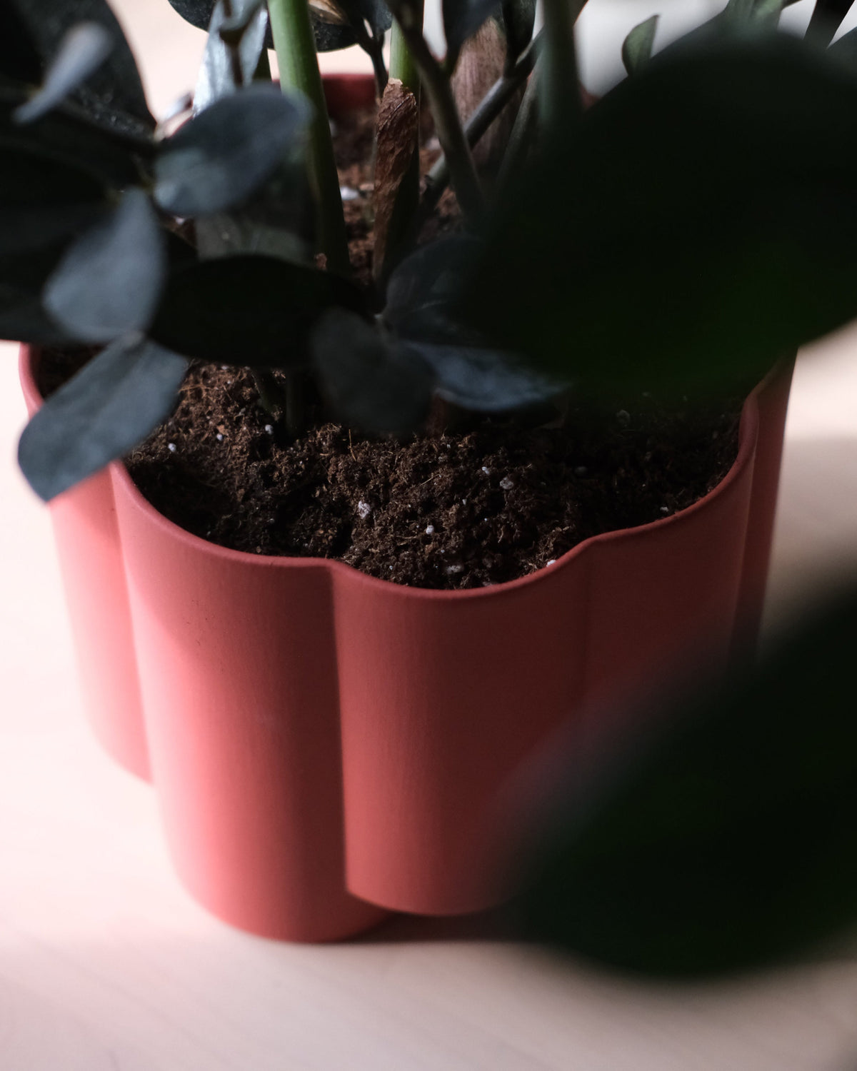 Pillar Planter - Misewell, view 6