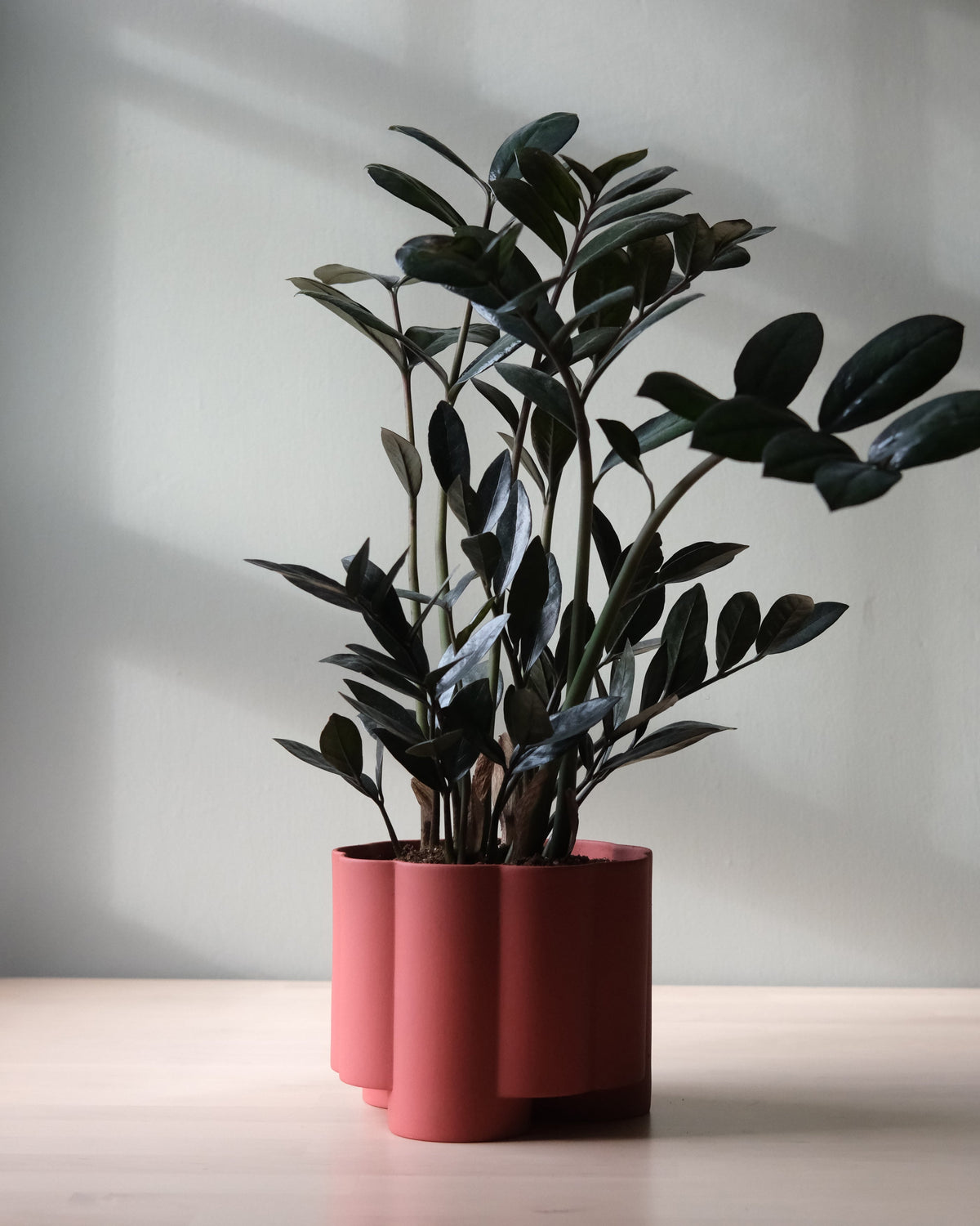 Pillar Planter - Misewell, view 5