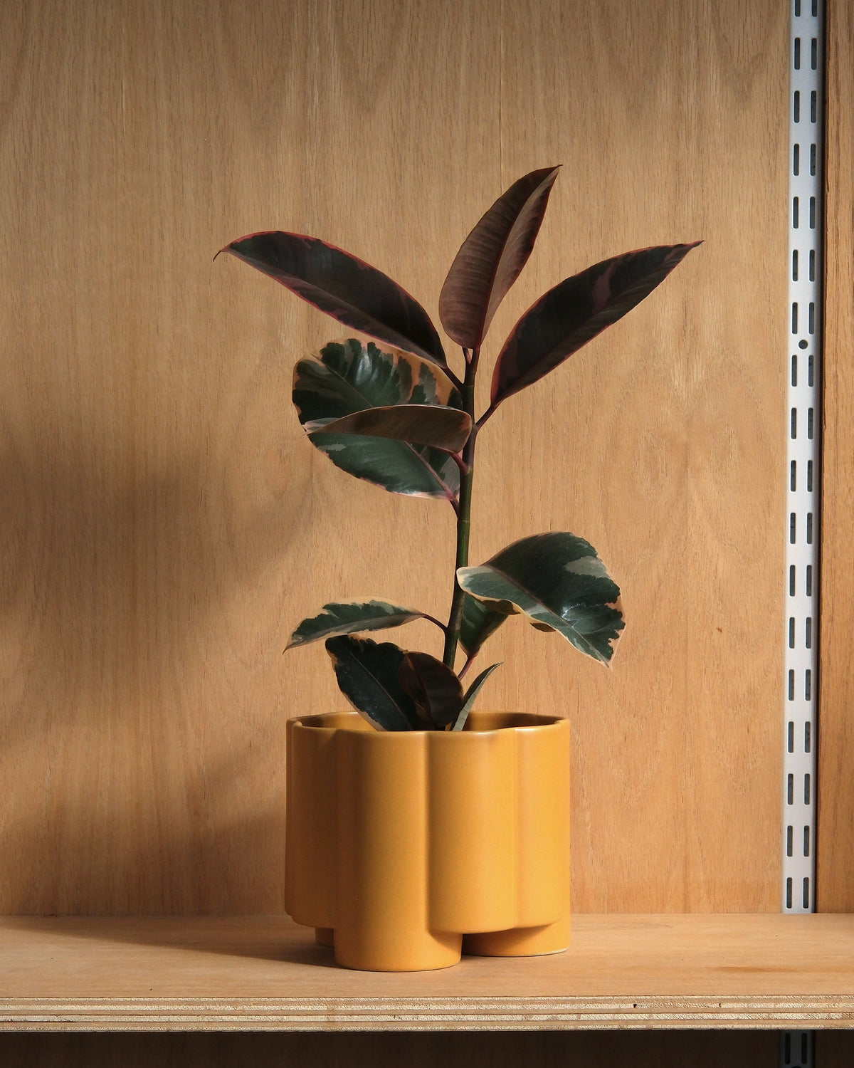 Pillar Planter - Misewell