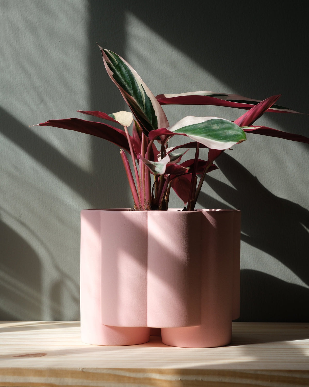 Pillar Planter - Misewell, view 4