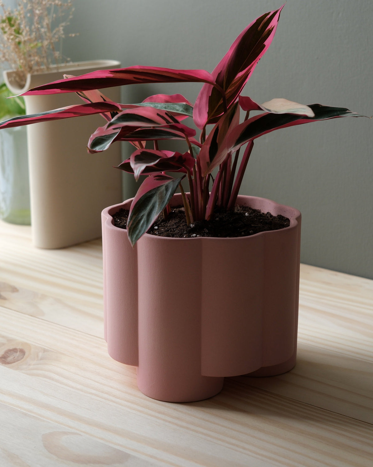 Pillar Planter - Misewell, view 3