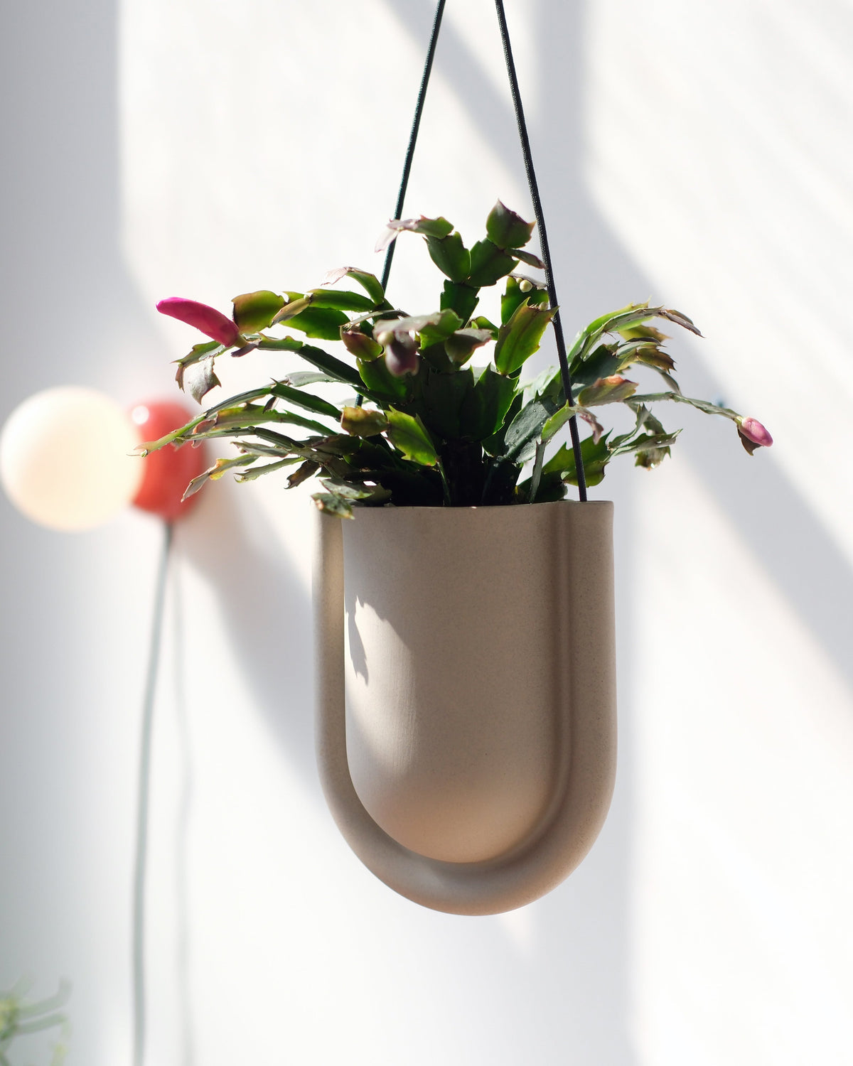 Portico Planter - Misewell, view 10