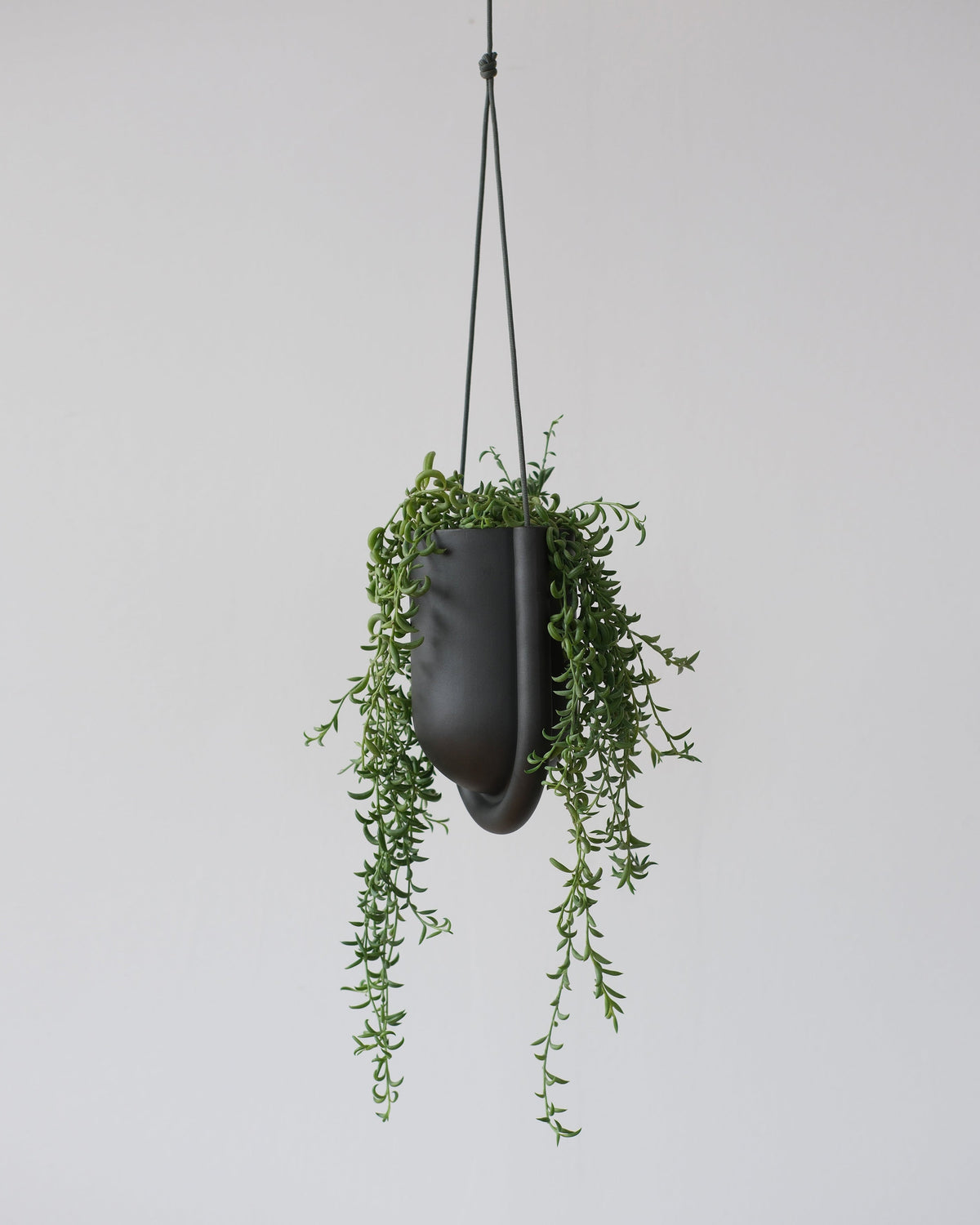 Portico Planter - Misewell, view 9