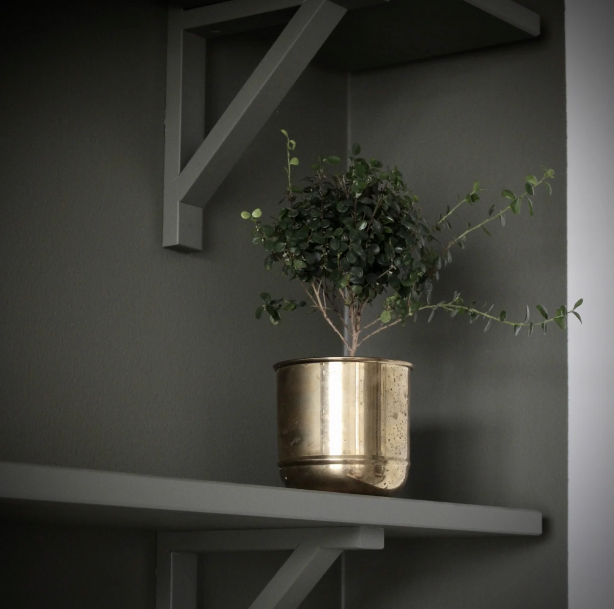 Primrose Pot - Source by Studio Skara, view 5