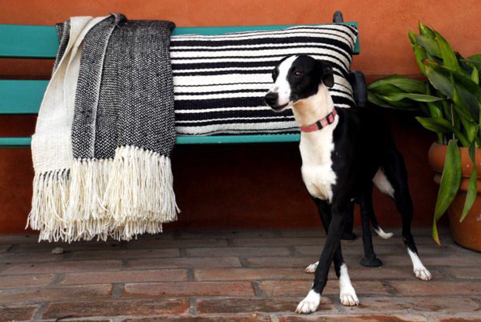 Harlequin Luxury Throw Blanket - Homelosophy, view 2