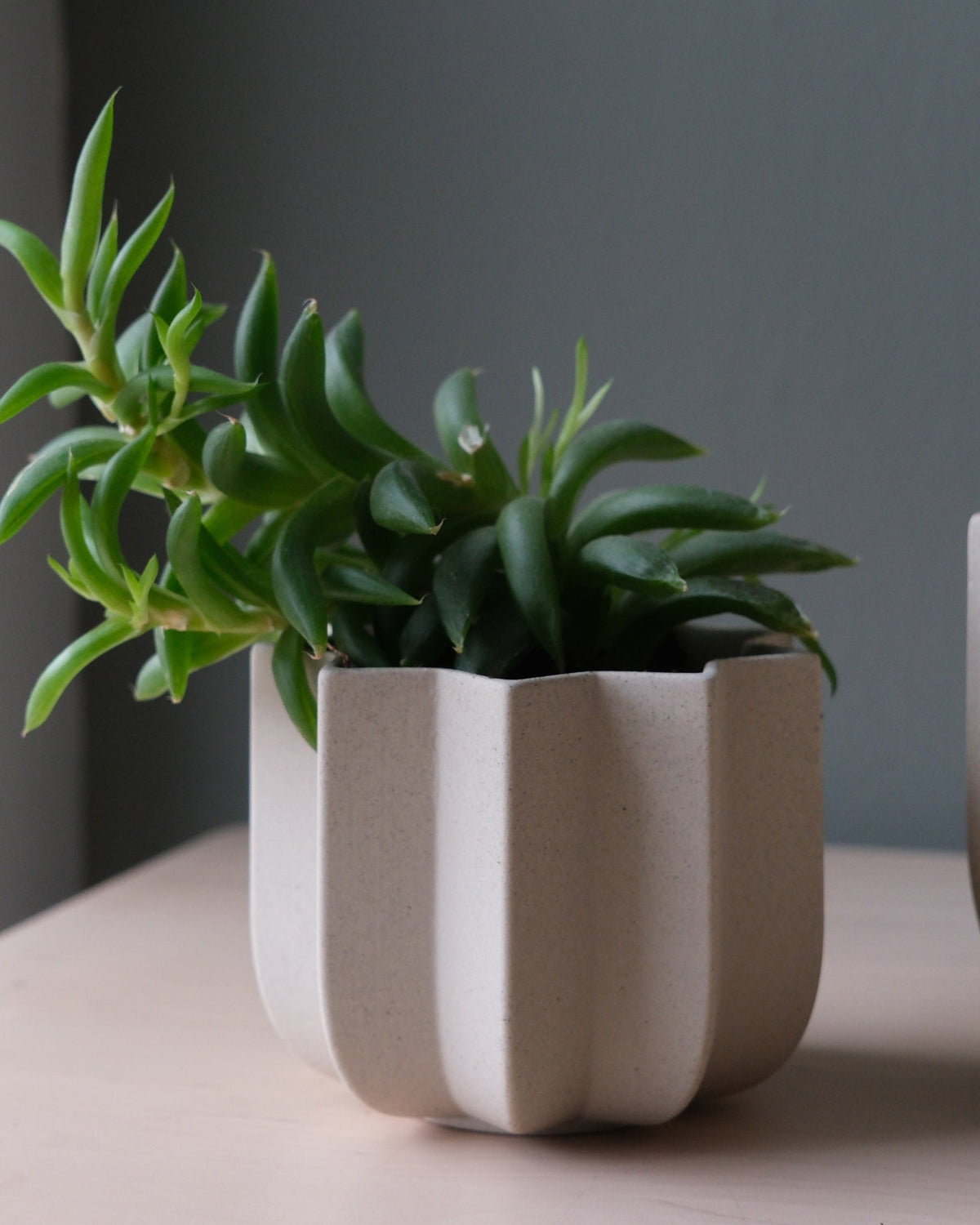 Wrap Planter - 4 sizes - Misewell, view 3