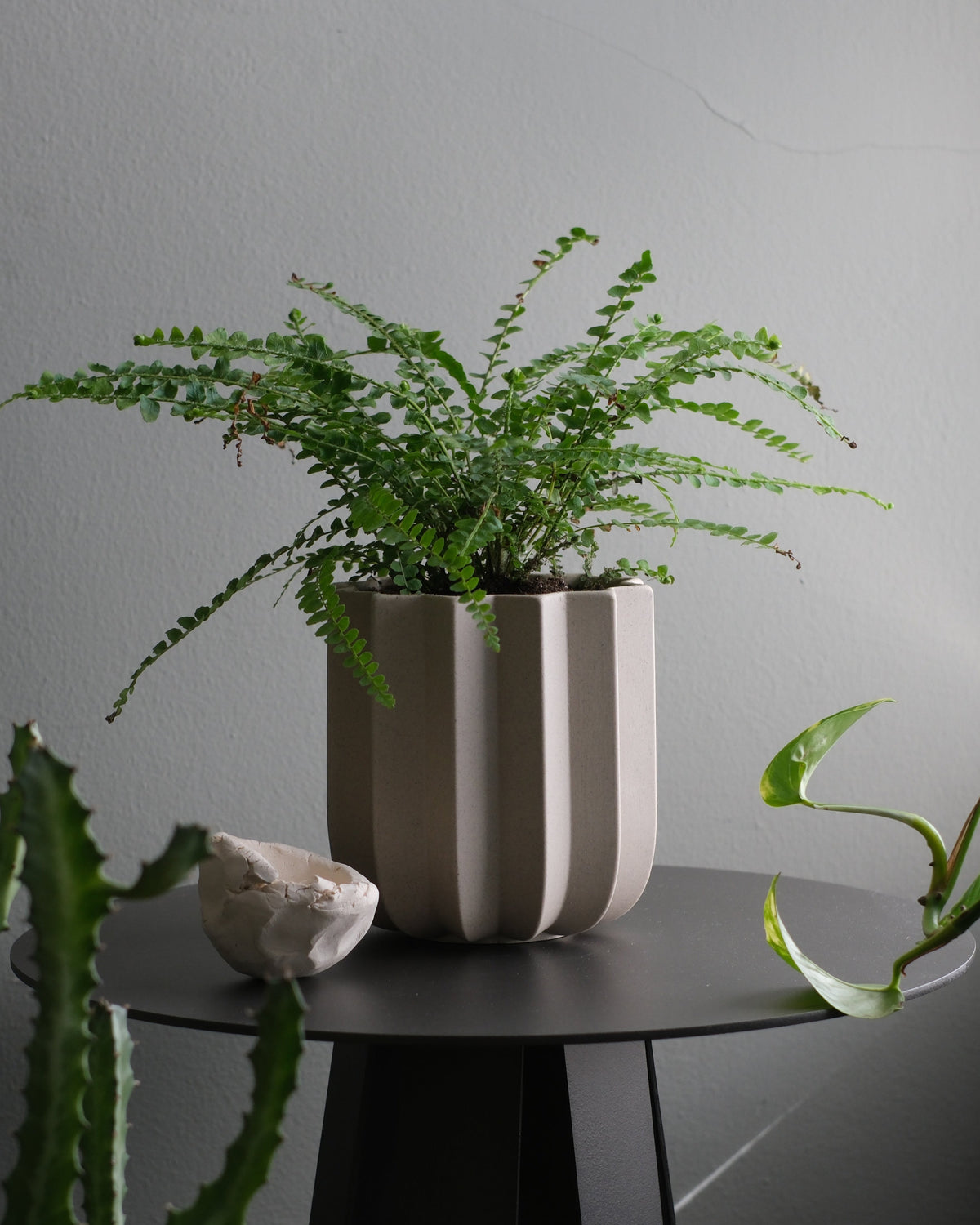 Wrap Planter - 4 sizes - Misewell, view 4
