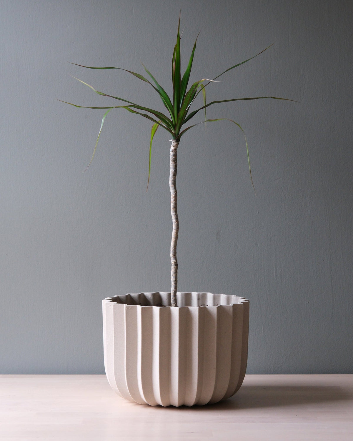 Wrap Planter - 4 sizes - Misewell, view 11