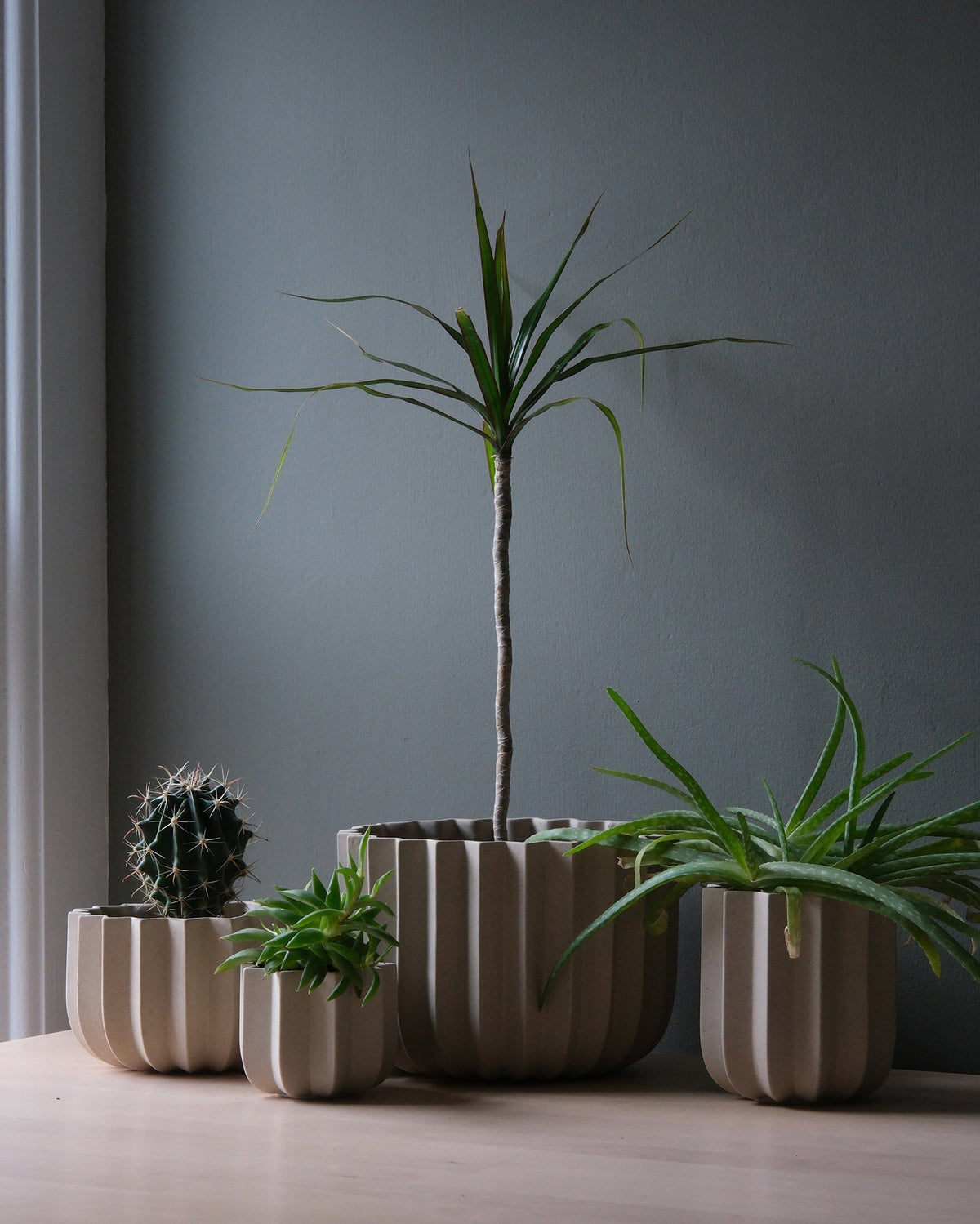Wrap Planter - 4 sizes - Misewell, view 10
