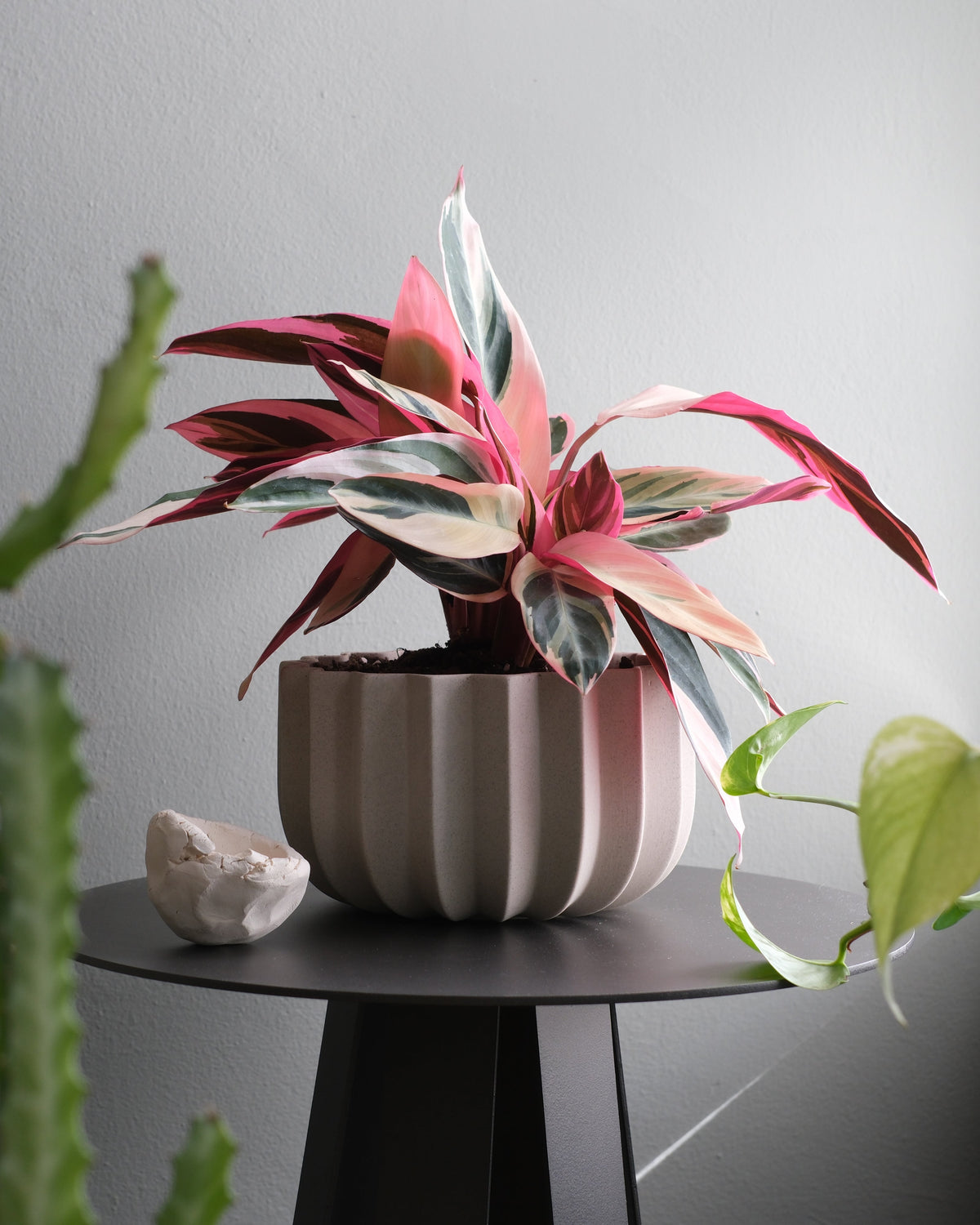 Wrap Planter - 4 sizes - Misewell