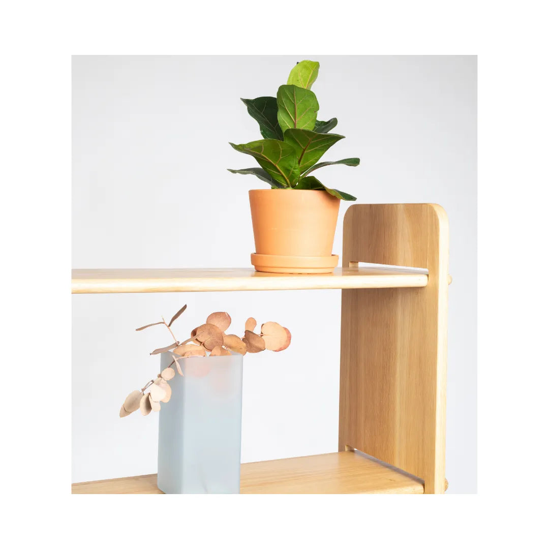 Bookcase Hector image 5